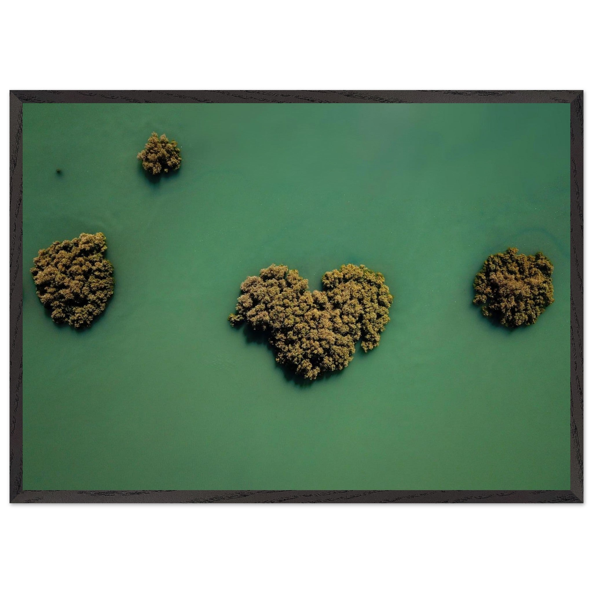 00c0e05e-f576-48b1-b4be-fbdb5c40a36d