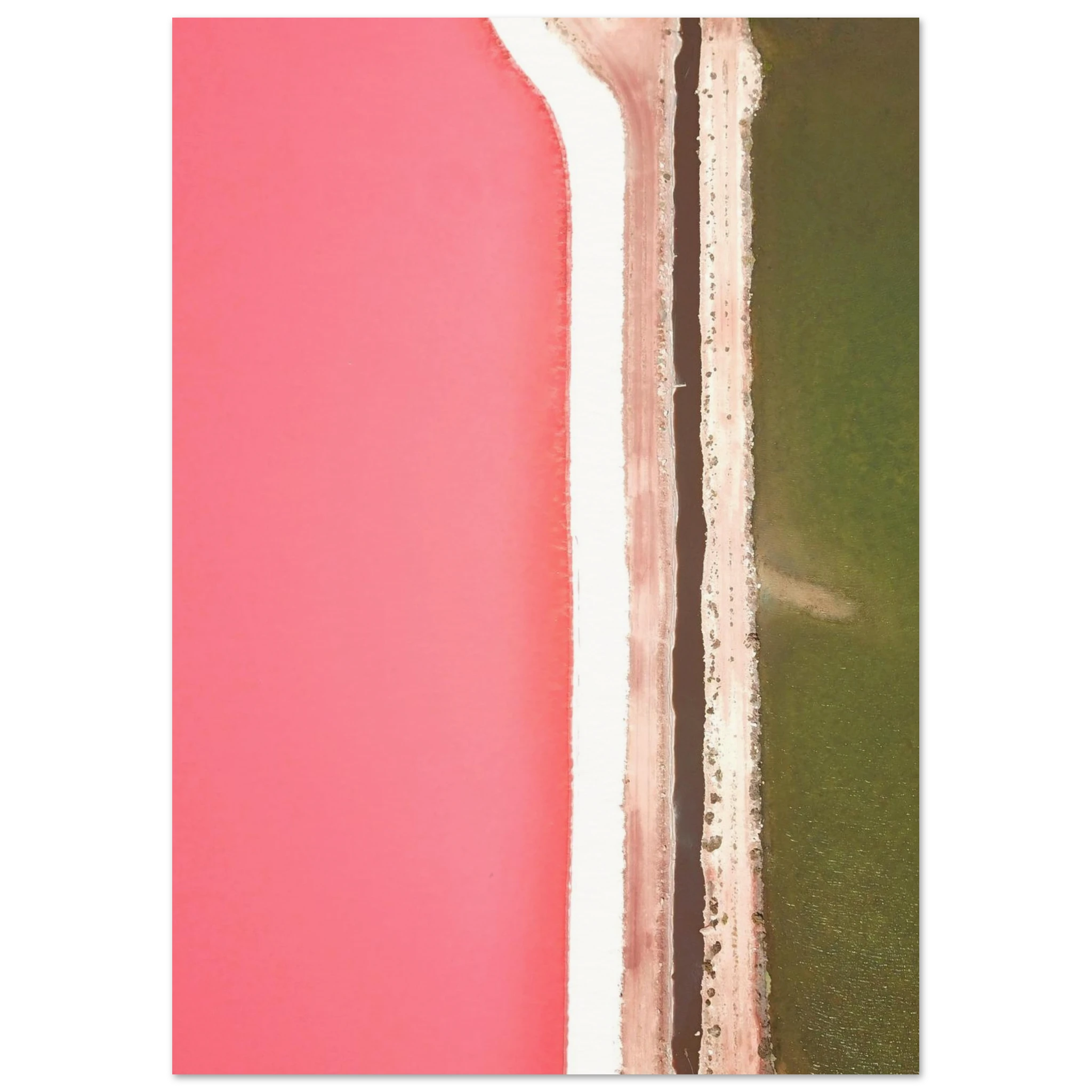 01fb9ea4-5f06-4e0a-9280-52227dcdef74