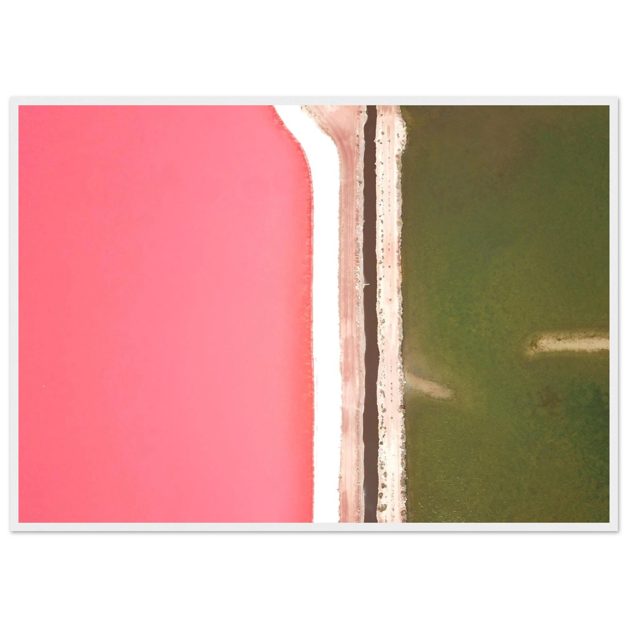 08000975-9dcb-4f22-a918-ae4344e50aef