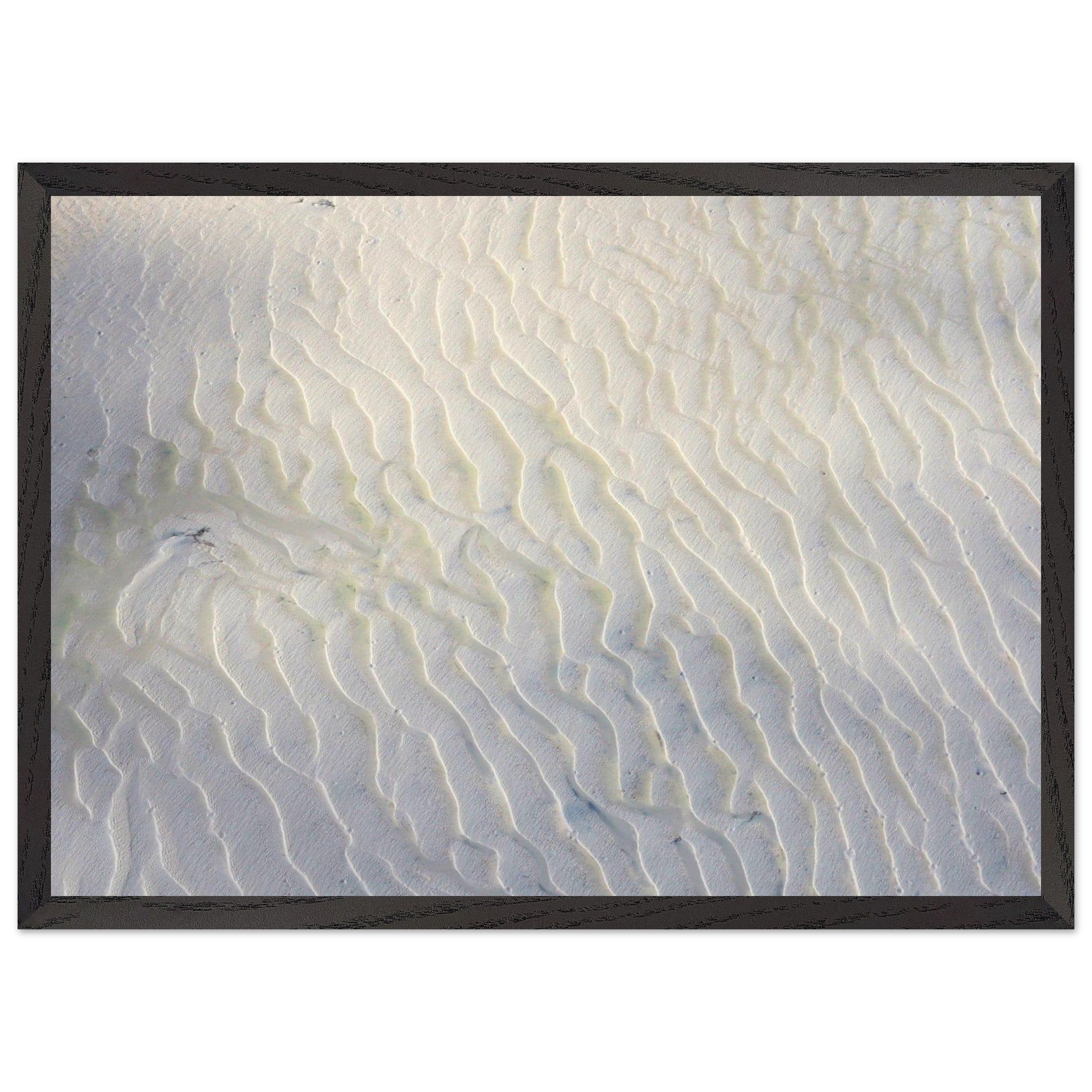 1c3775e3-dd7c-438d-bb6d-3dc7e4853271