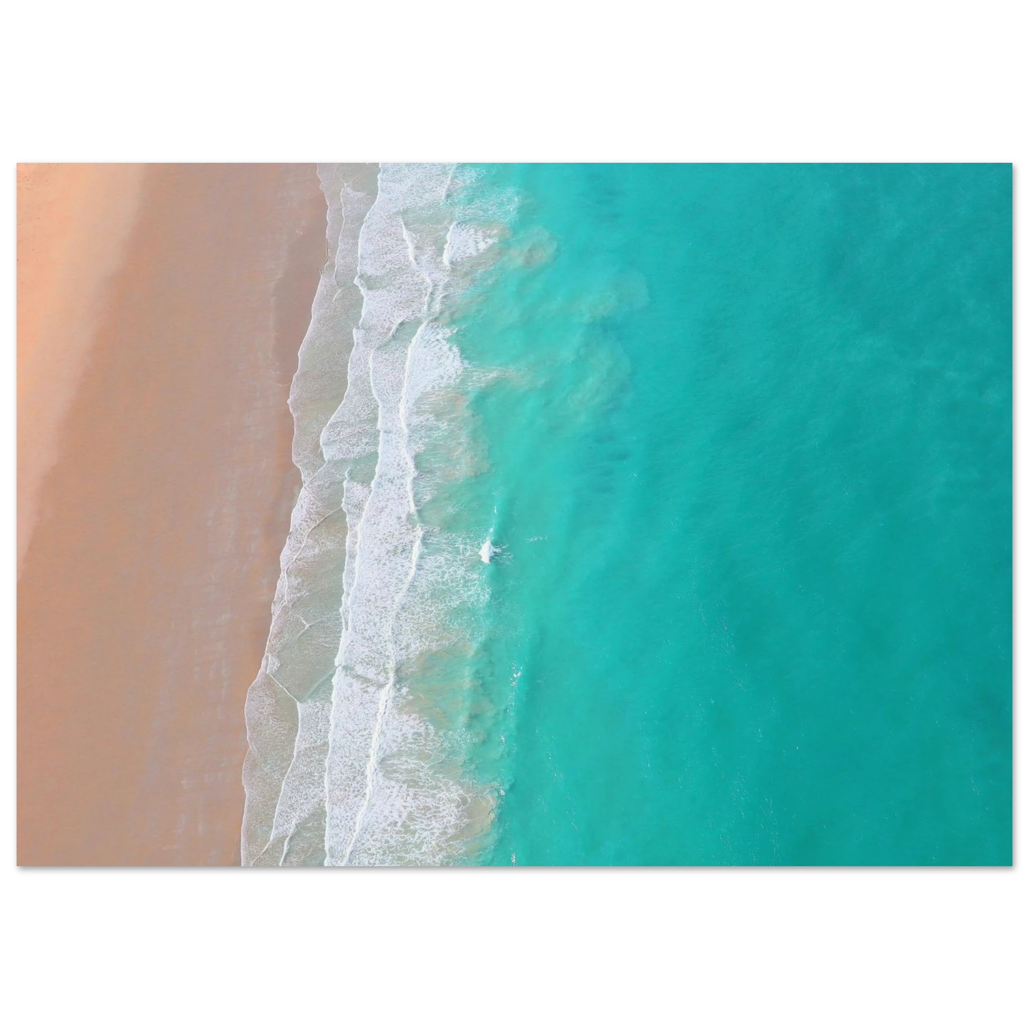 1c849a13-1044-4c0f-bfd7-4798c480b67d