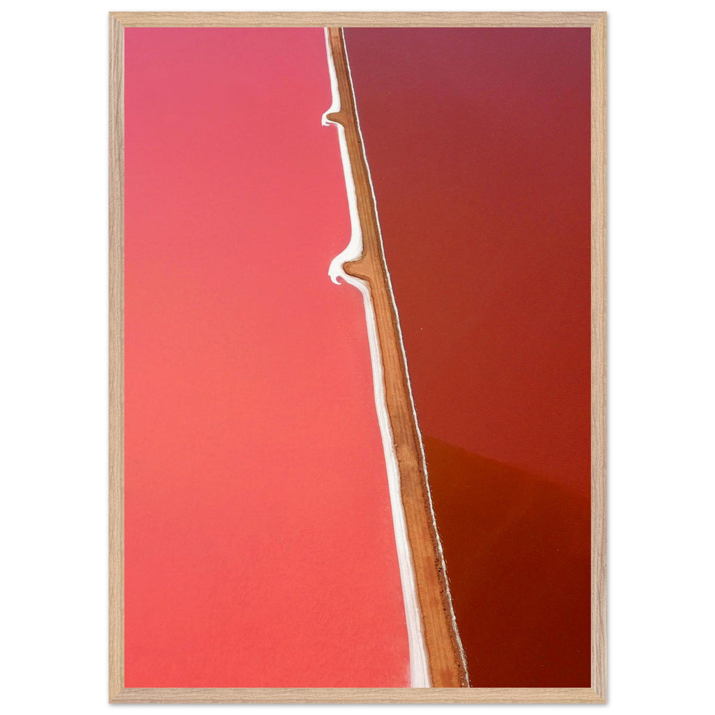 1d6f418a-6f0e-46e0-a1c6-ea28a8647513