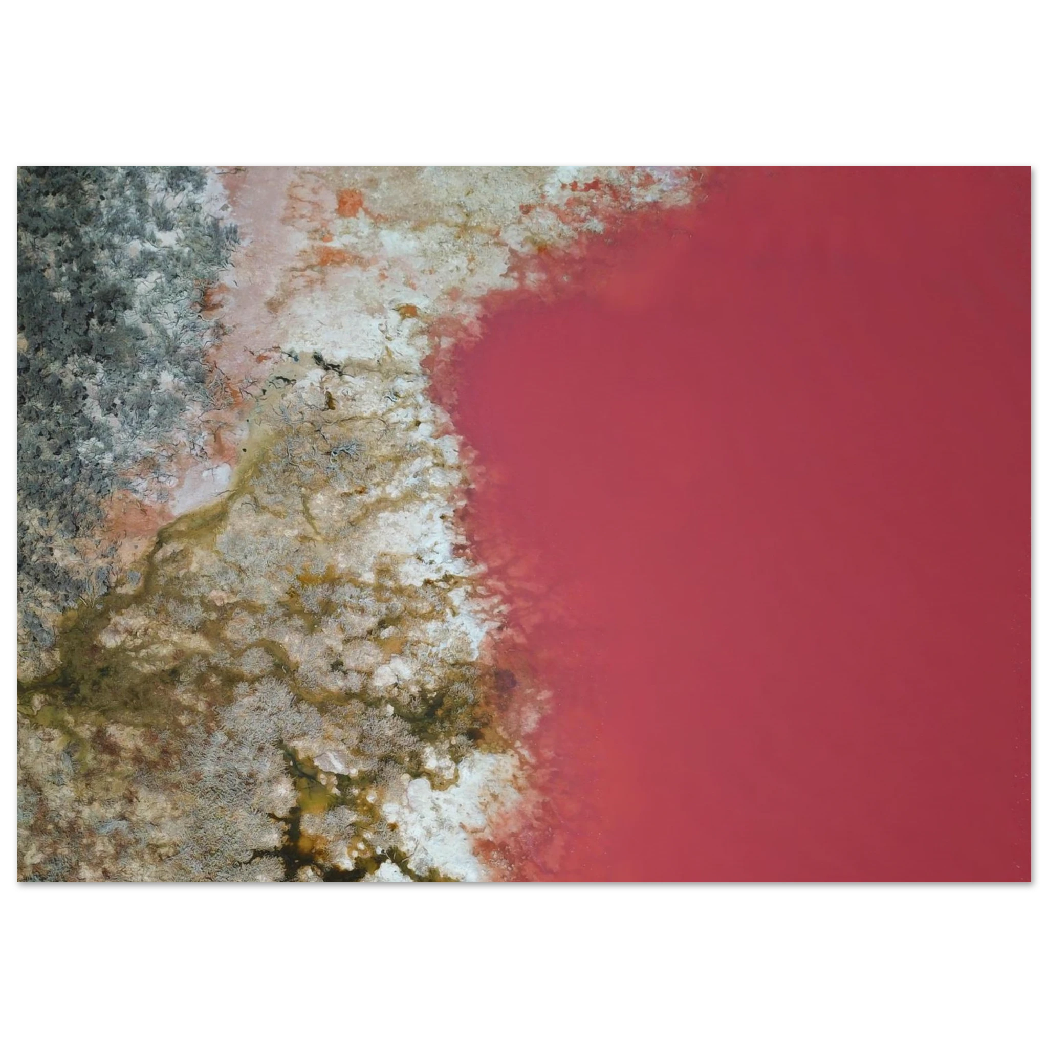24517631-0bec-4d5d-95b3-4e038408747c