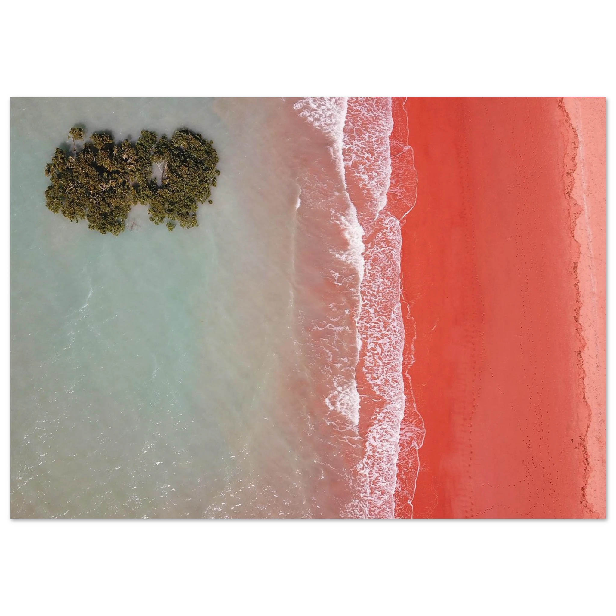 2493b47f-c19e-4414-b14e-9d1f2e65620c