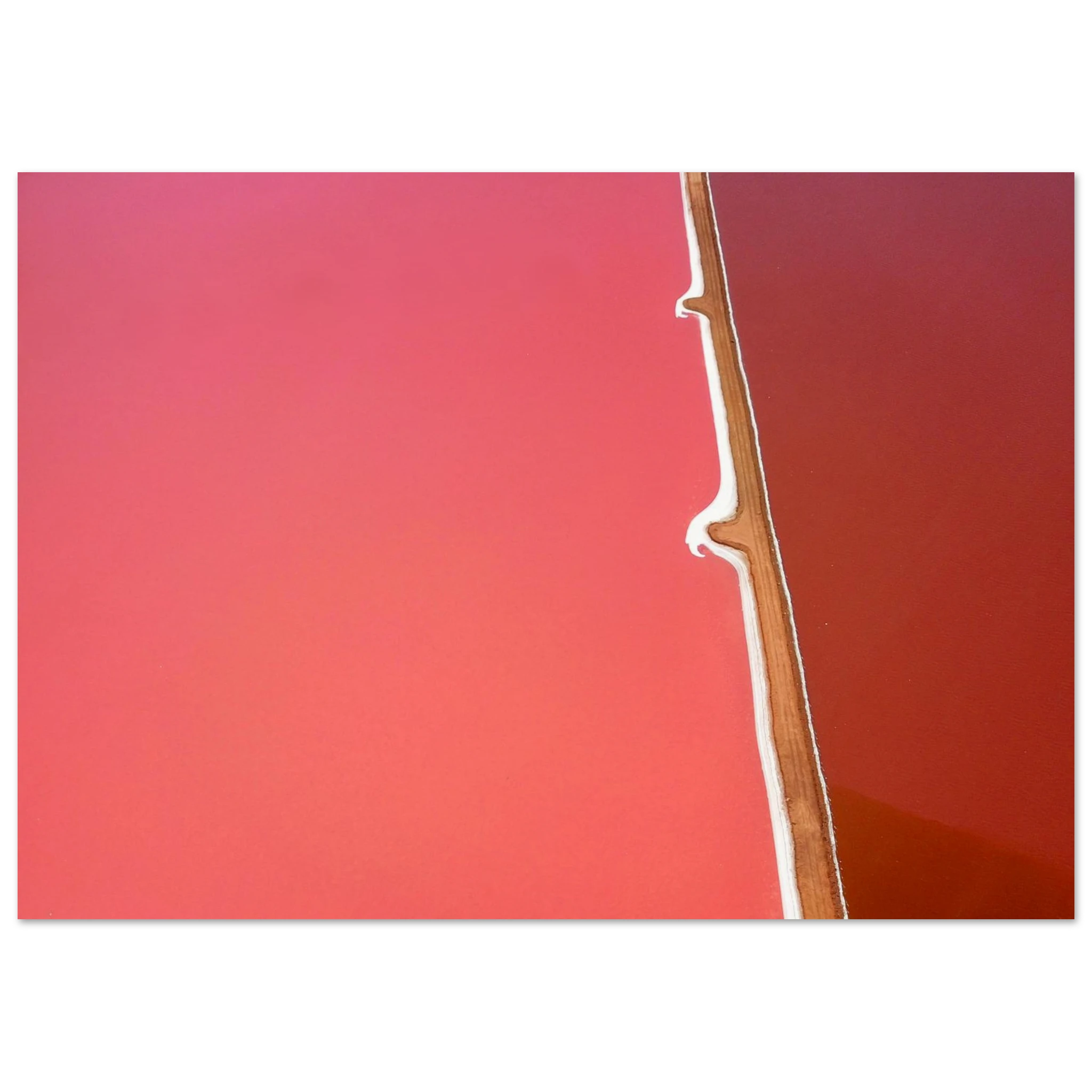 2553505f-620a-4a5f-8961-93fffa0580fc