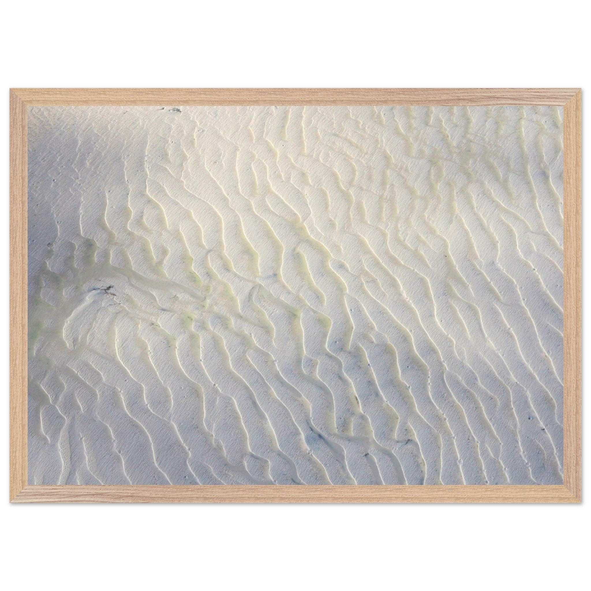 2b9e7072-010b-442f-b549-c96253606fe3