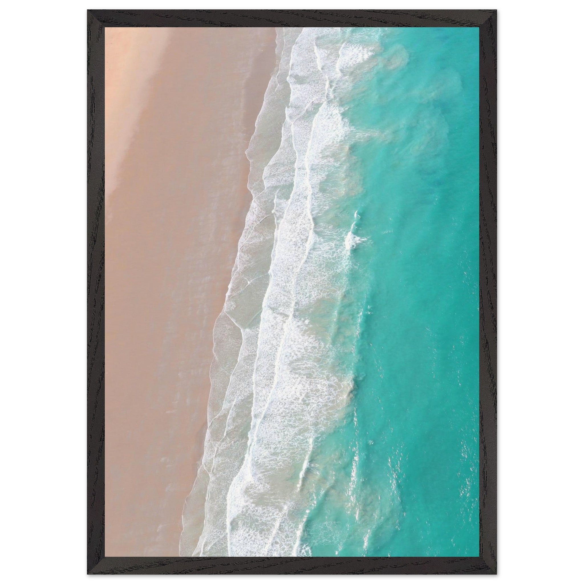 2d509f14-99d3-407a-b565-579678681c81