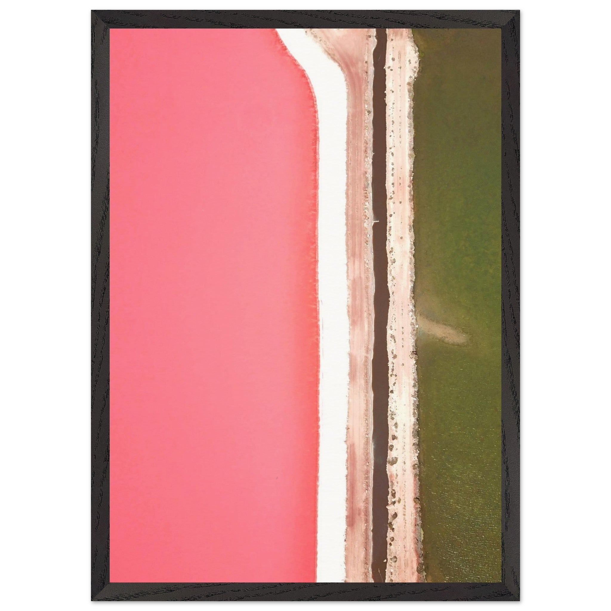 3848a571-425e-4a54-a5e8-b56cc4b517f7