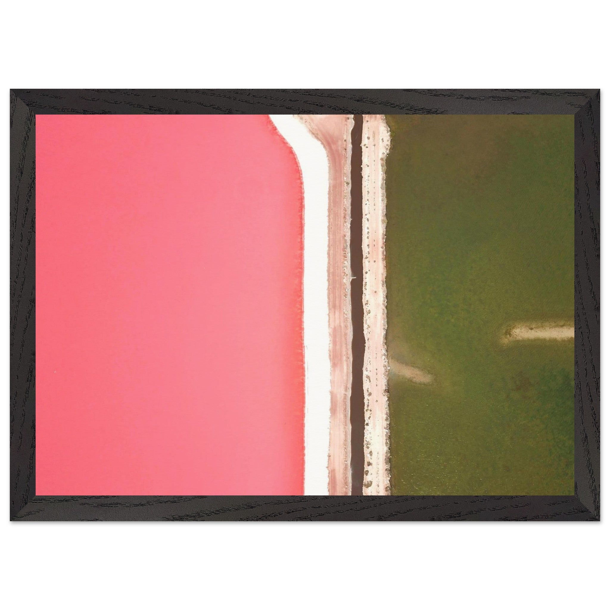 3b362c42-0178-4a7b-ab1d-8c9c2bd4e9a5