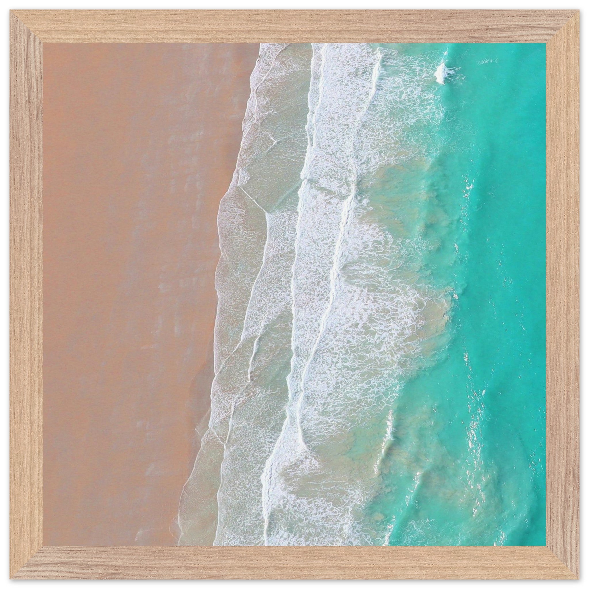 4252c5a1-3ebc-4e26-869c-cf59ff85c159