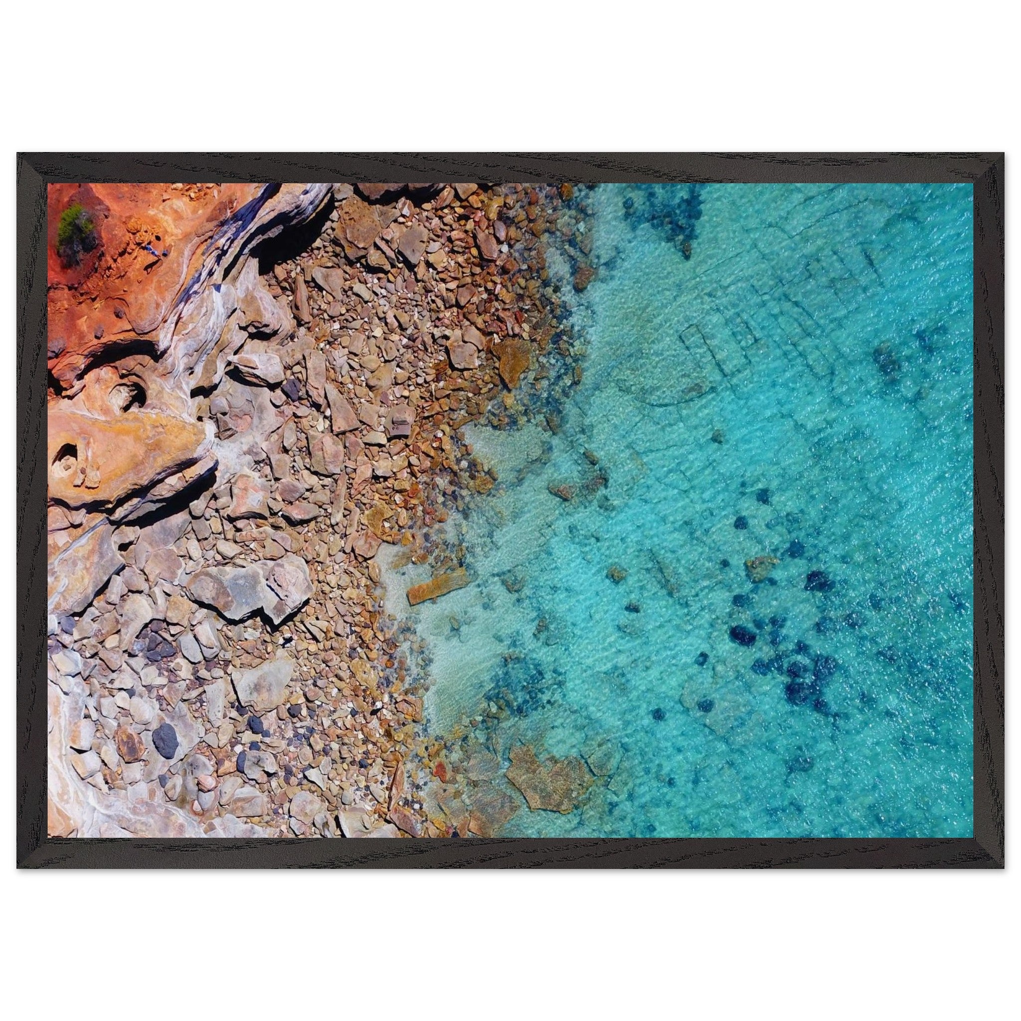 494dafce-a419-455c-bad7-5a25cddb522d