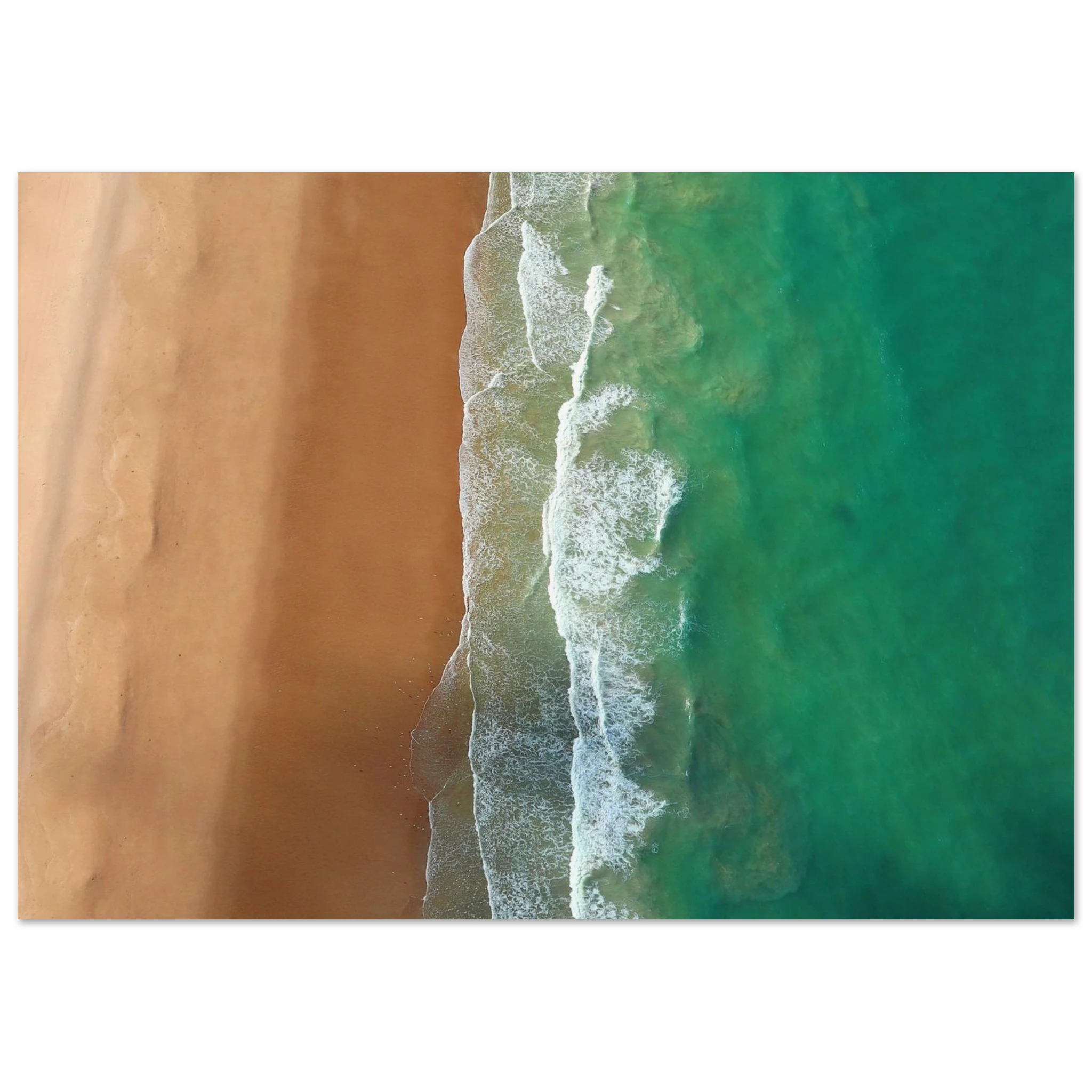 519ac3b4-06cf-415a-9528-a6fc30ed7d6e