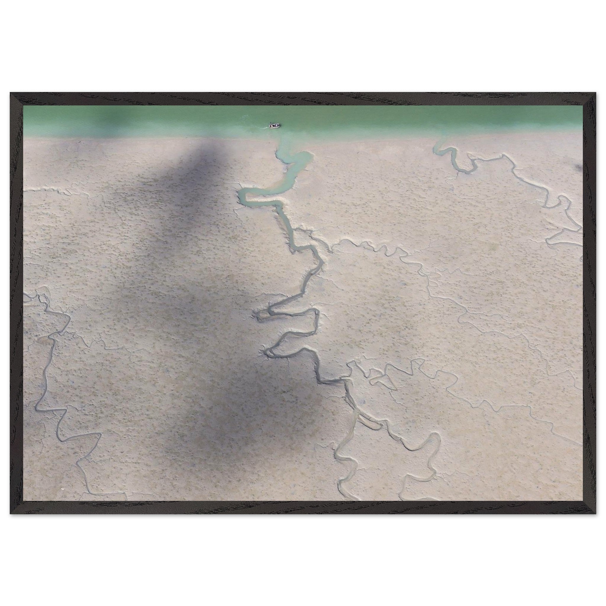 52b59113-7a47-462b-86da-a1f68f303aec