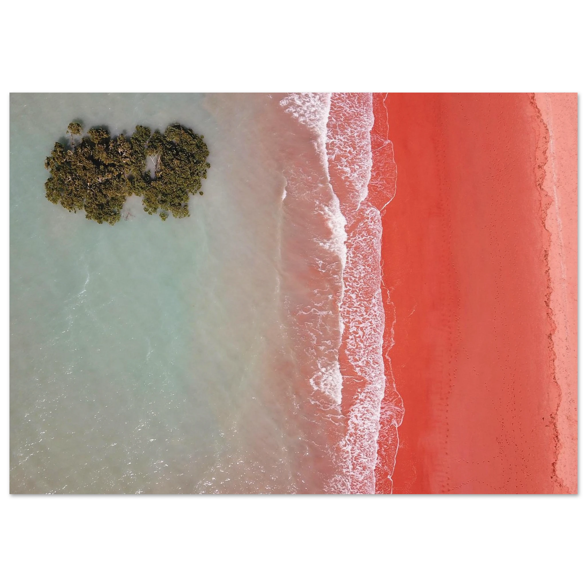 56303ff5-49f5-4f95-802c-6c07b61ea469