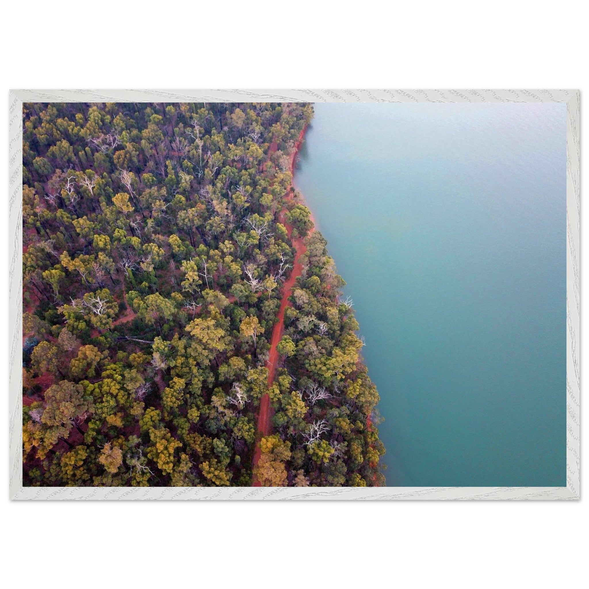 56f57f4b-467a-4aca-bf29-20a63b48d1c8