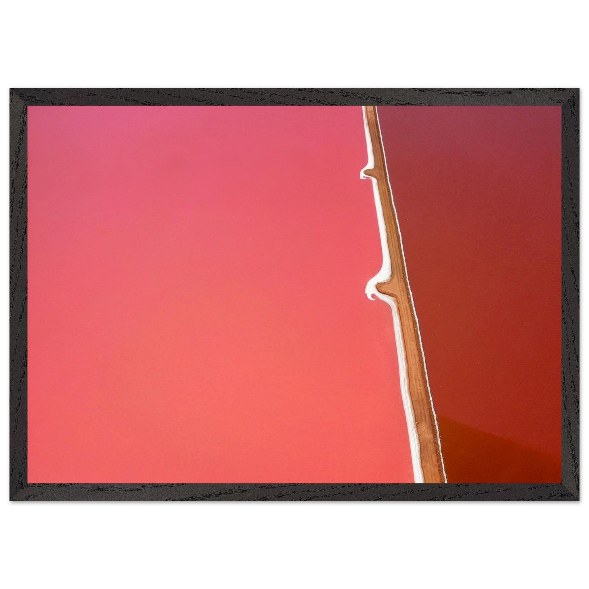 5cb9d971-8f88-4166-8509-f970104f0c15