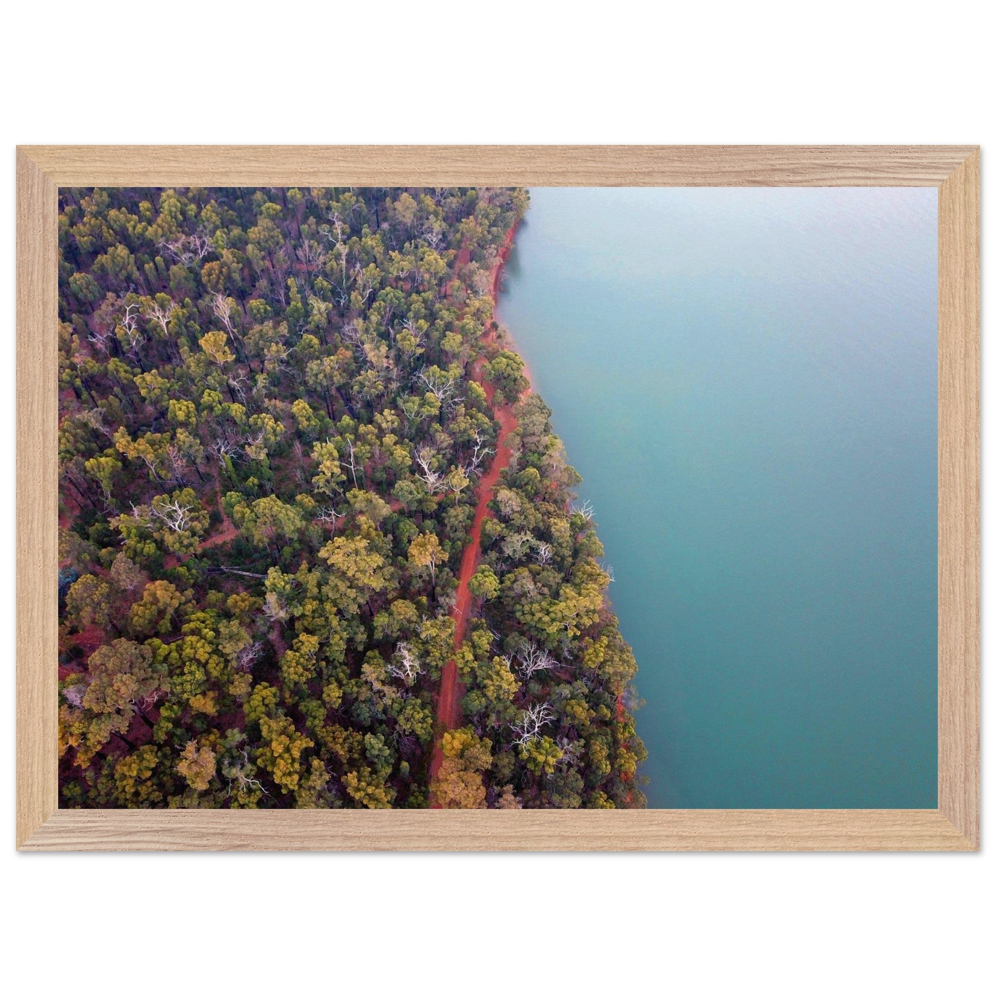 796b8ab4-08c7-446b-a6ca-08e84db230eb