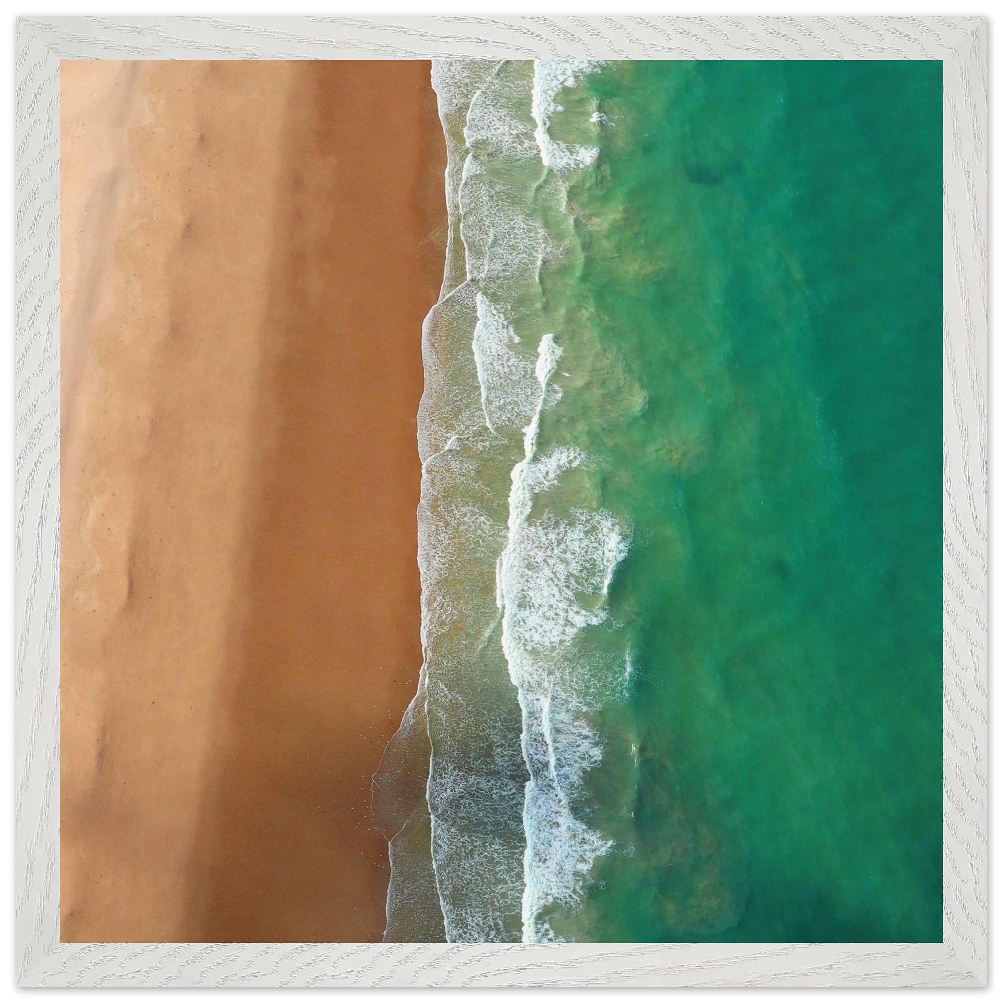 8081fa5c-11a4-4695-80d7-45e171d37163