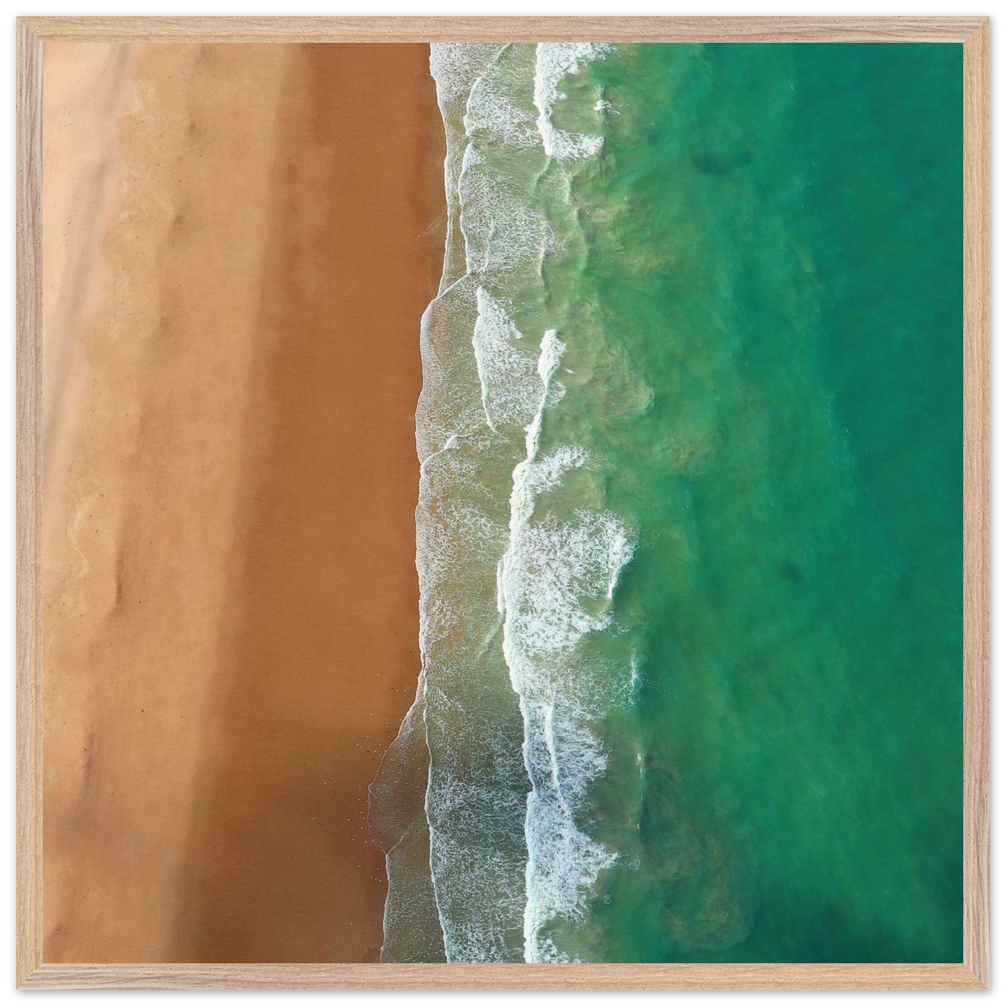 81095c84-02ff-4505-8277-3ffc212809b8