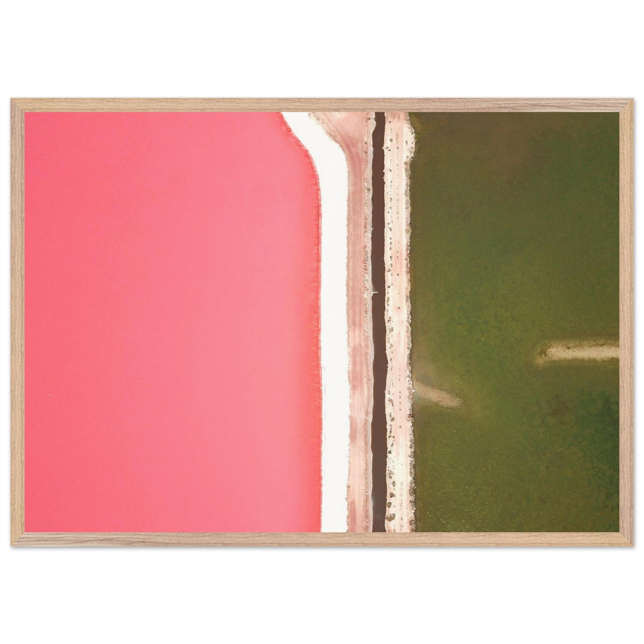 8458c2f9-b2f1-4b1b-8b5a-e49810d5d129