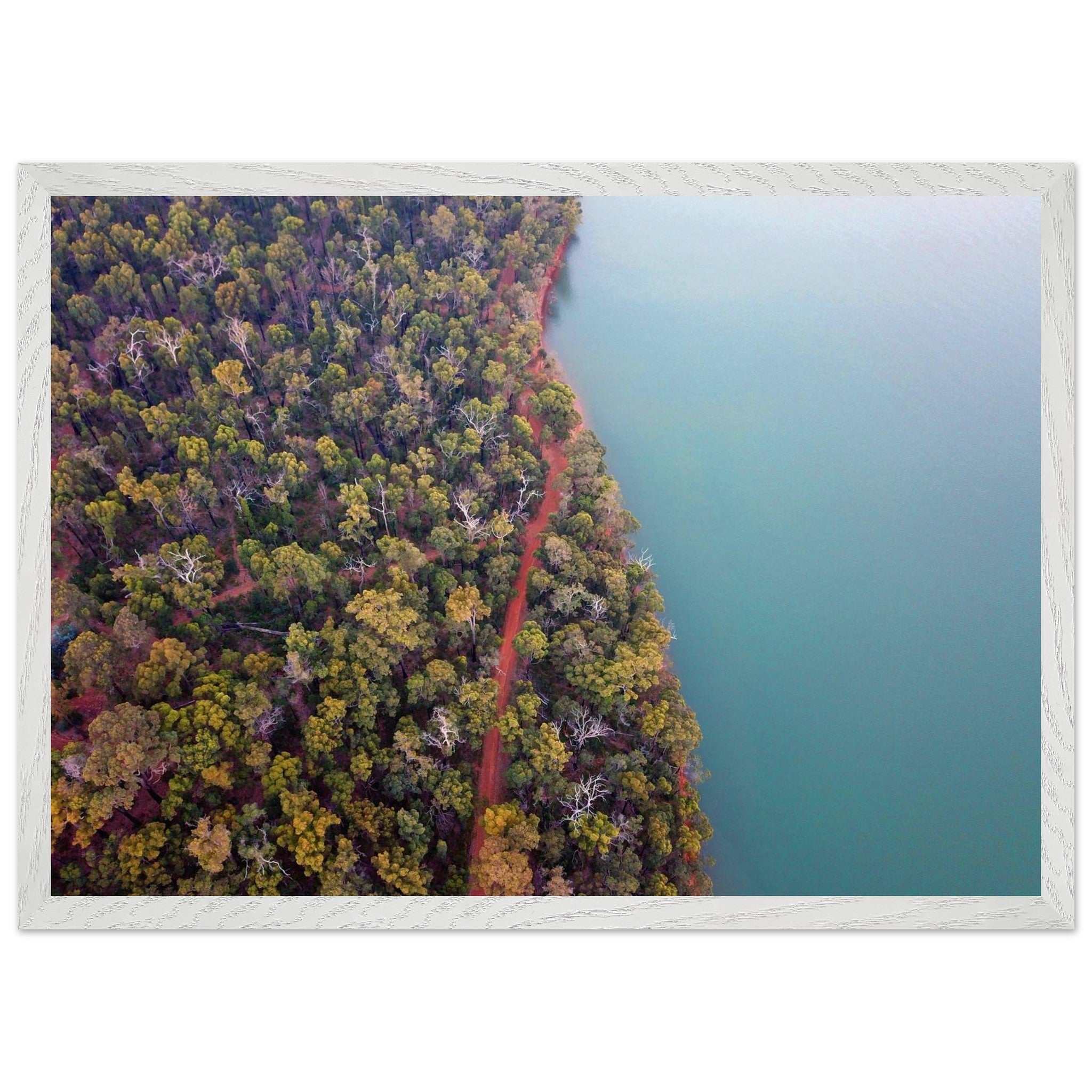 88aaf0fd-0bd8-4681-b811-87986998f951