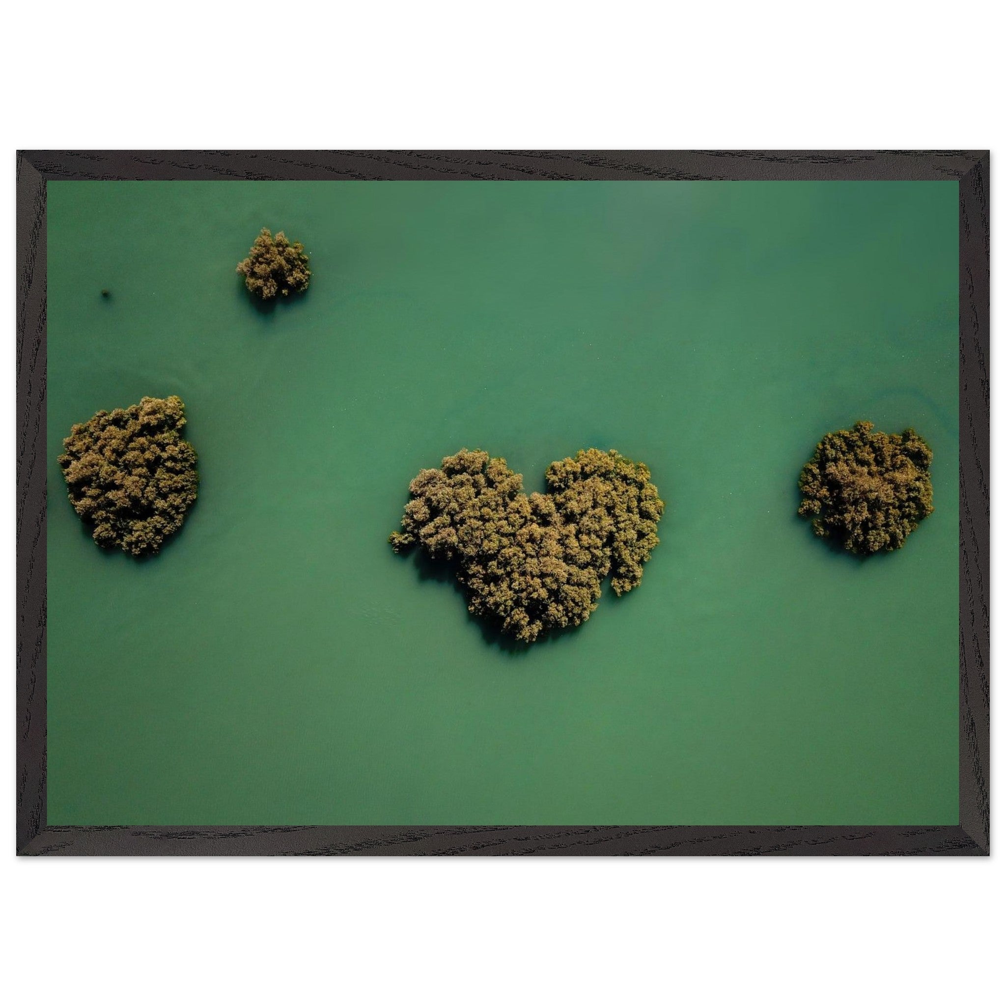 8bc85f62-8b66-433e-bb35-54c2403510e6