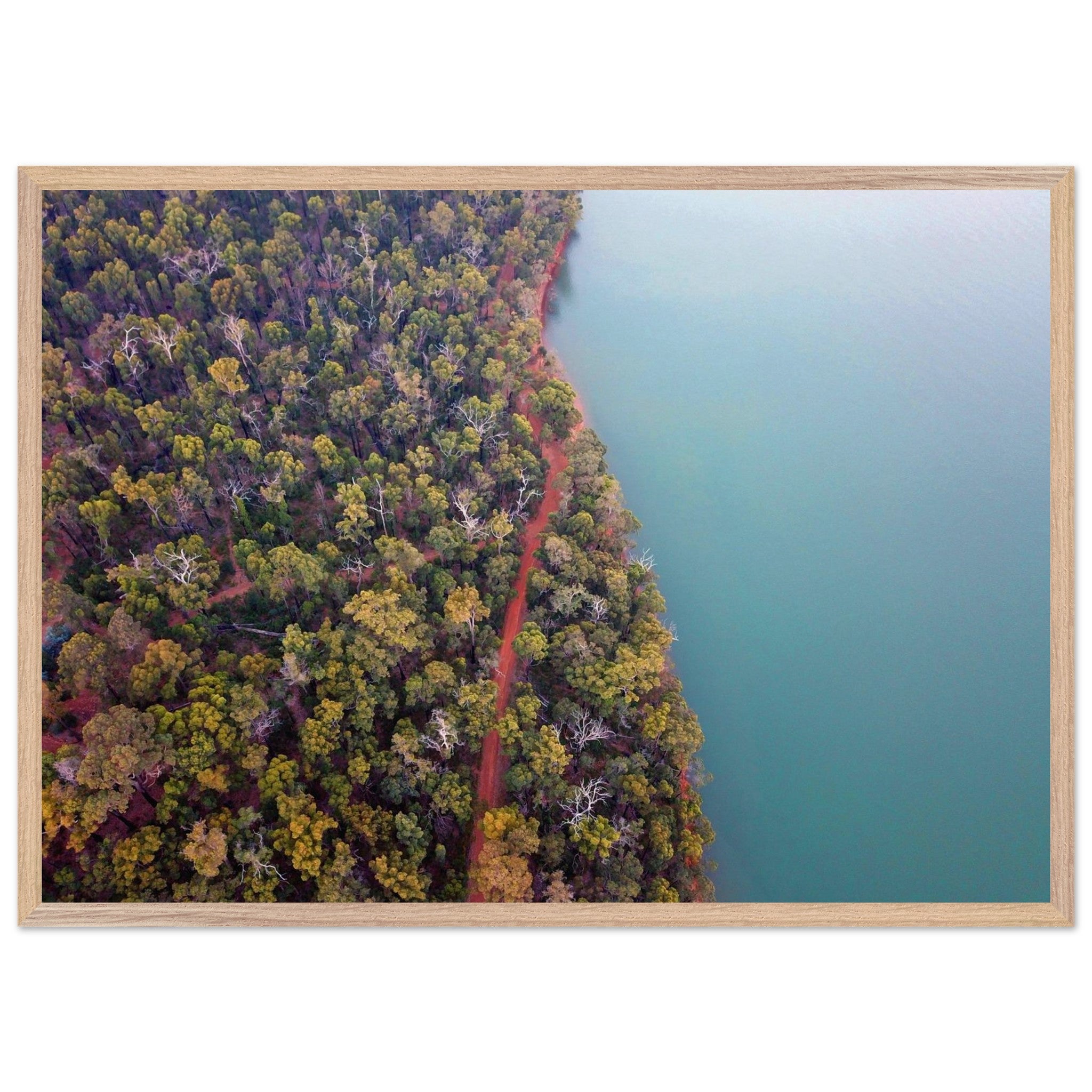 8c53ed2b-5ce9-4334-9b50-18e9df63a1e8