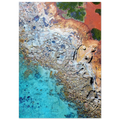 8d051358-a277-4239-a456-14ede43e71e5