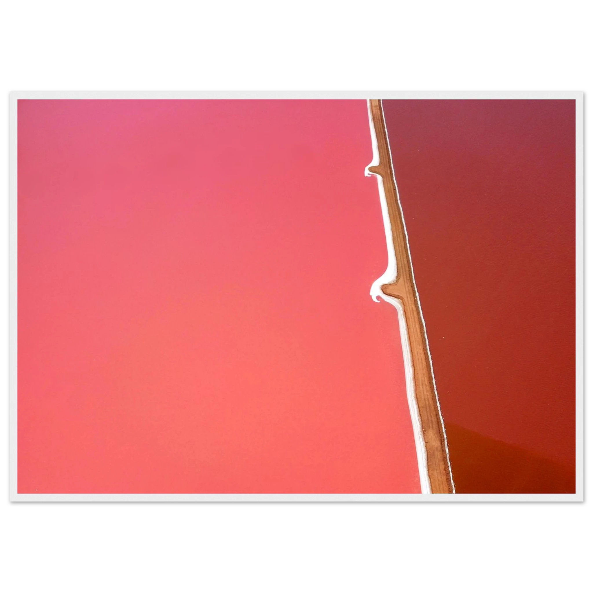 8e1cc317-8546-4b41-b1ad-c4ec7f11403f