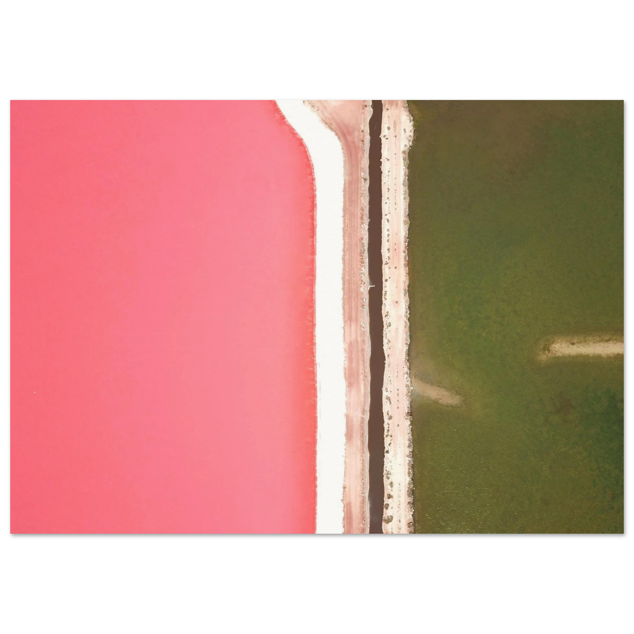 903ab268-e8ff-4d9d-a2e9-4639698c75d4