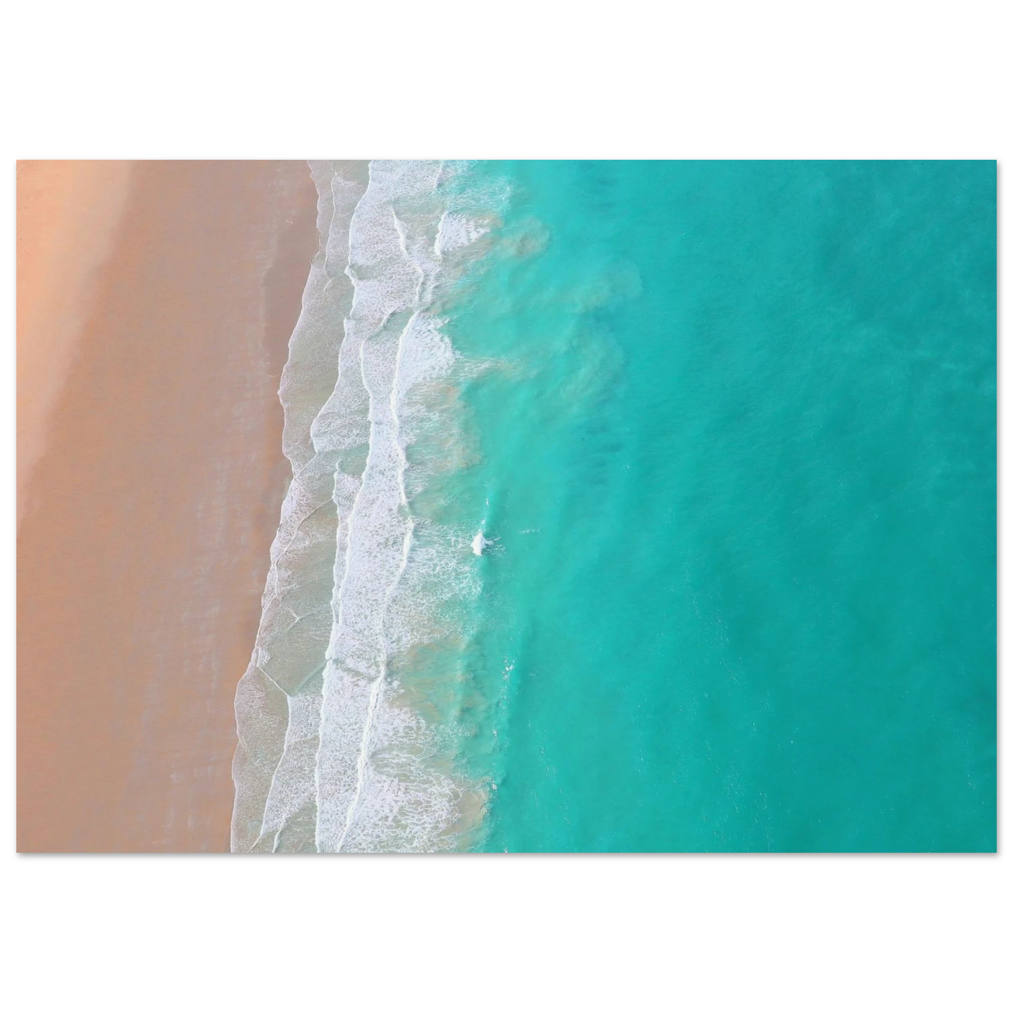 91763917-438e-4bff-bec1-a227f5a69c49