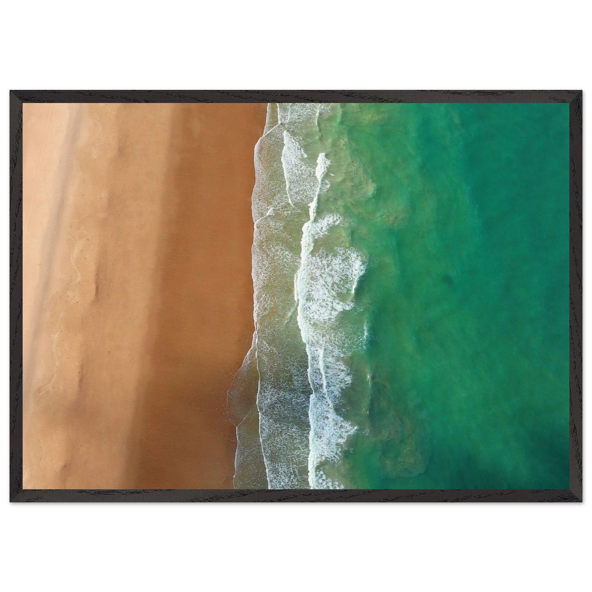 9338edb0-2909-445e-a819-0dcff8996cfb