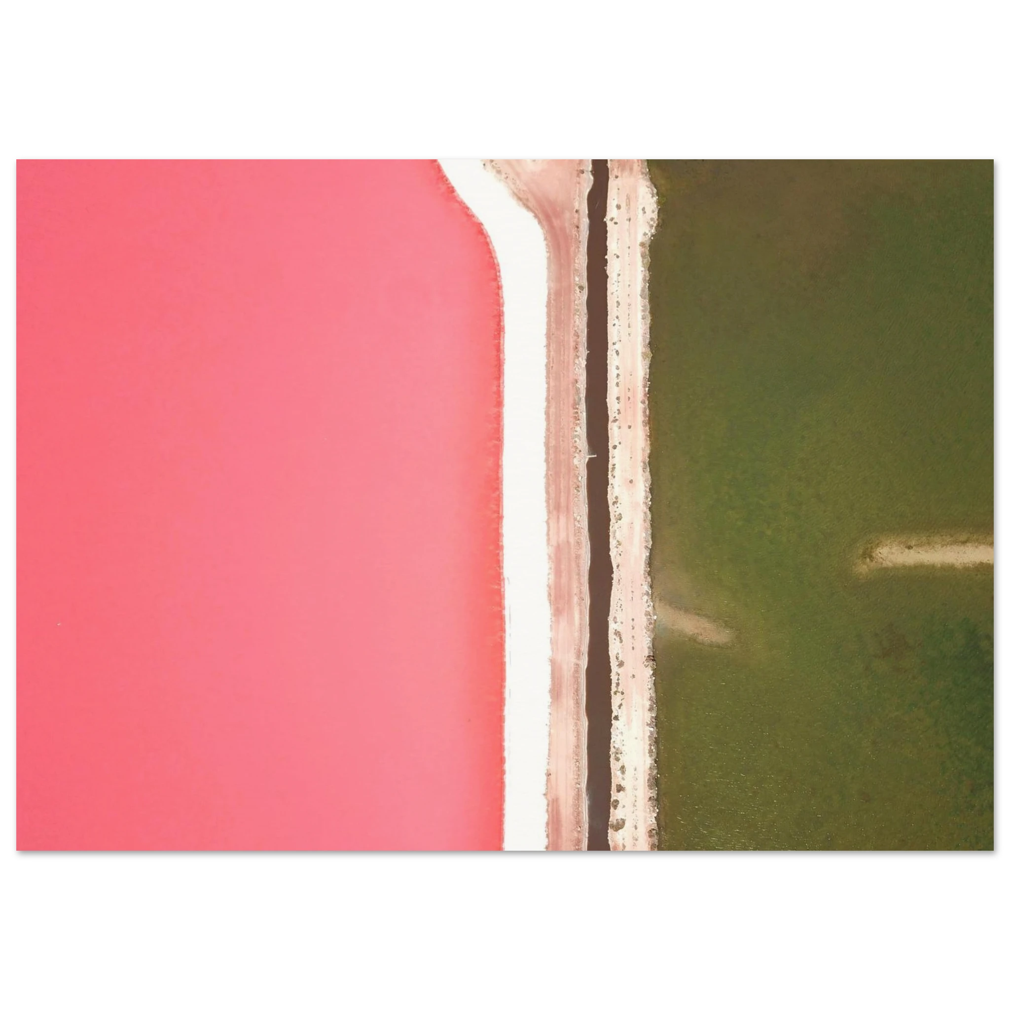 94419b79-6a11-4dbf-a9bc-67eb70a24f5a