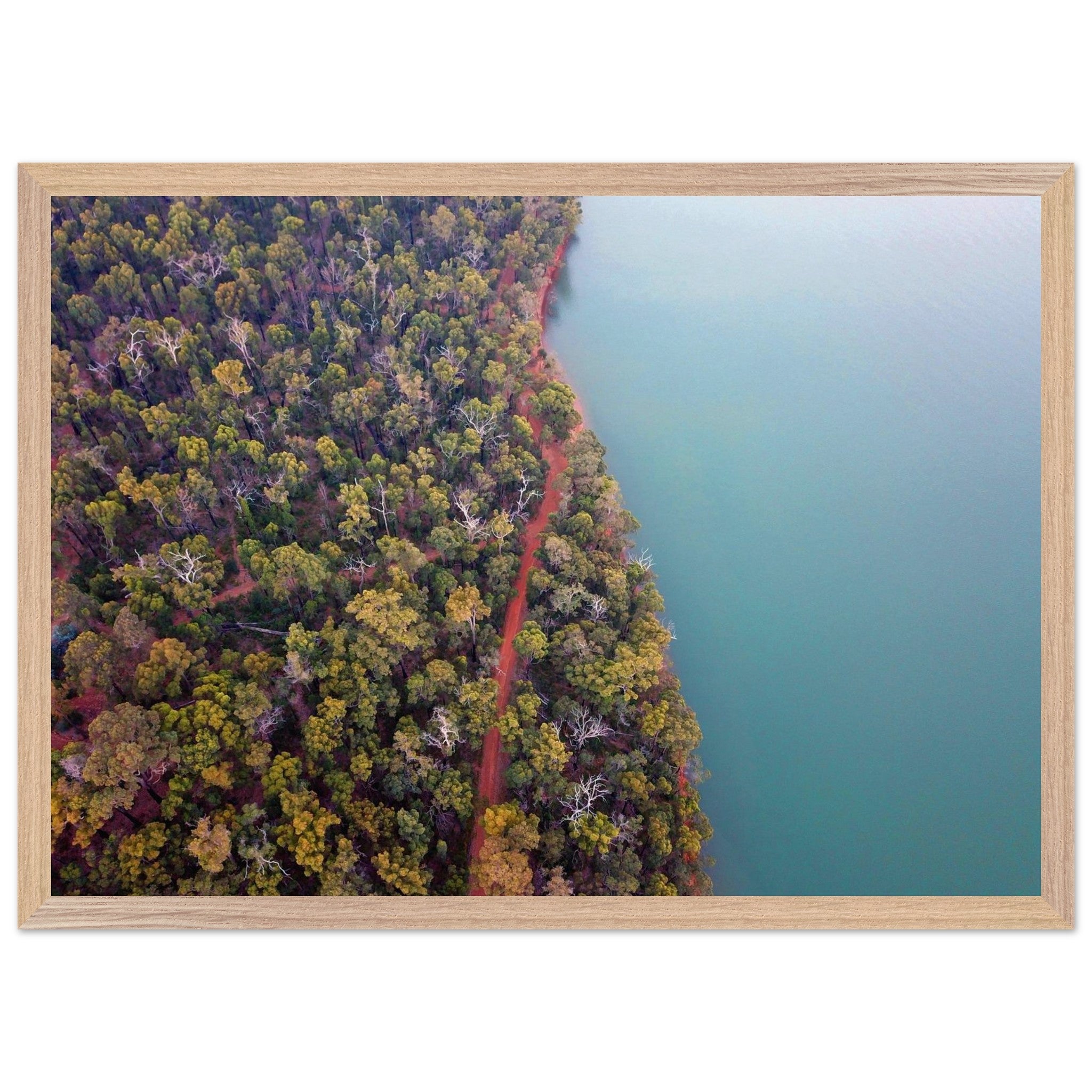 9a8819da-ac52-4c3c-a6c1-32eec065f424