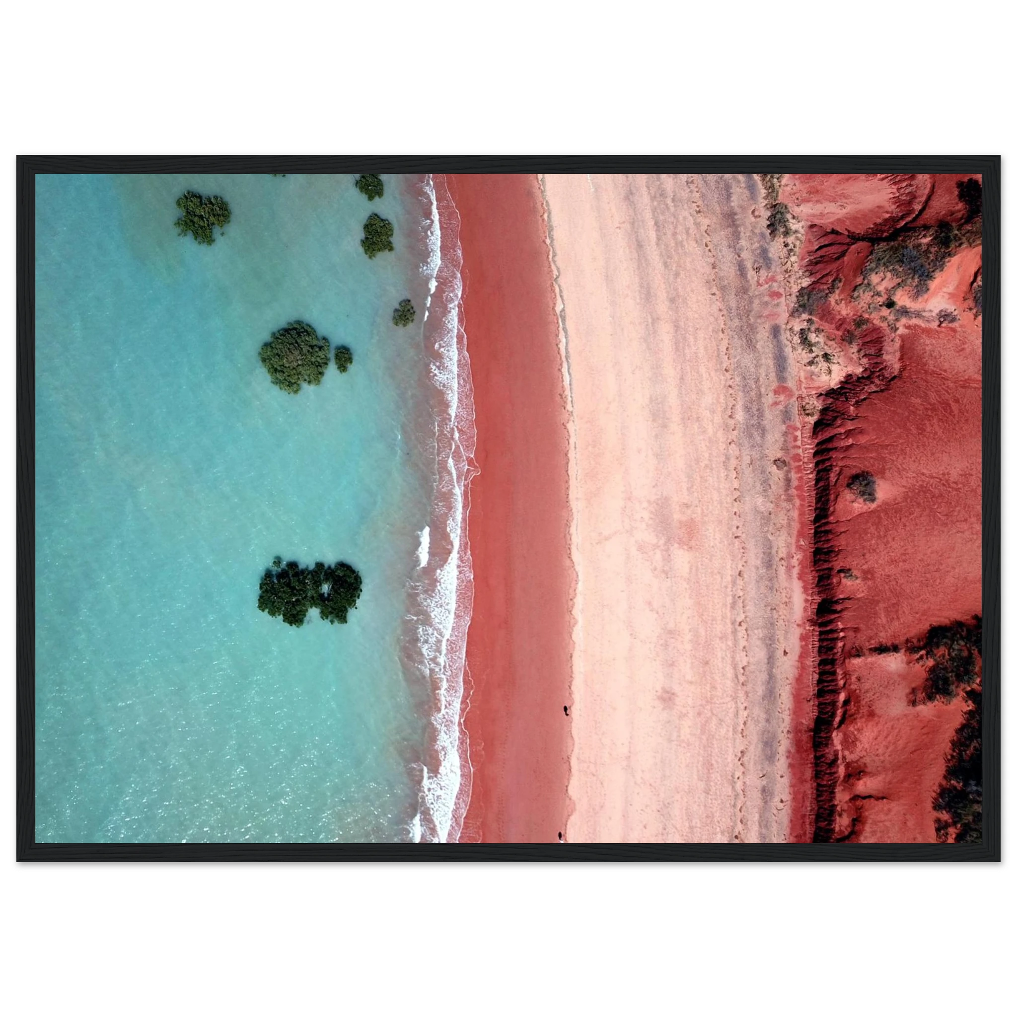 a50358e5-b805-4bbb-97ee-f0394c077017