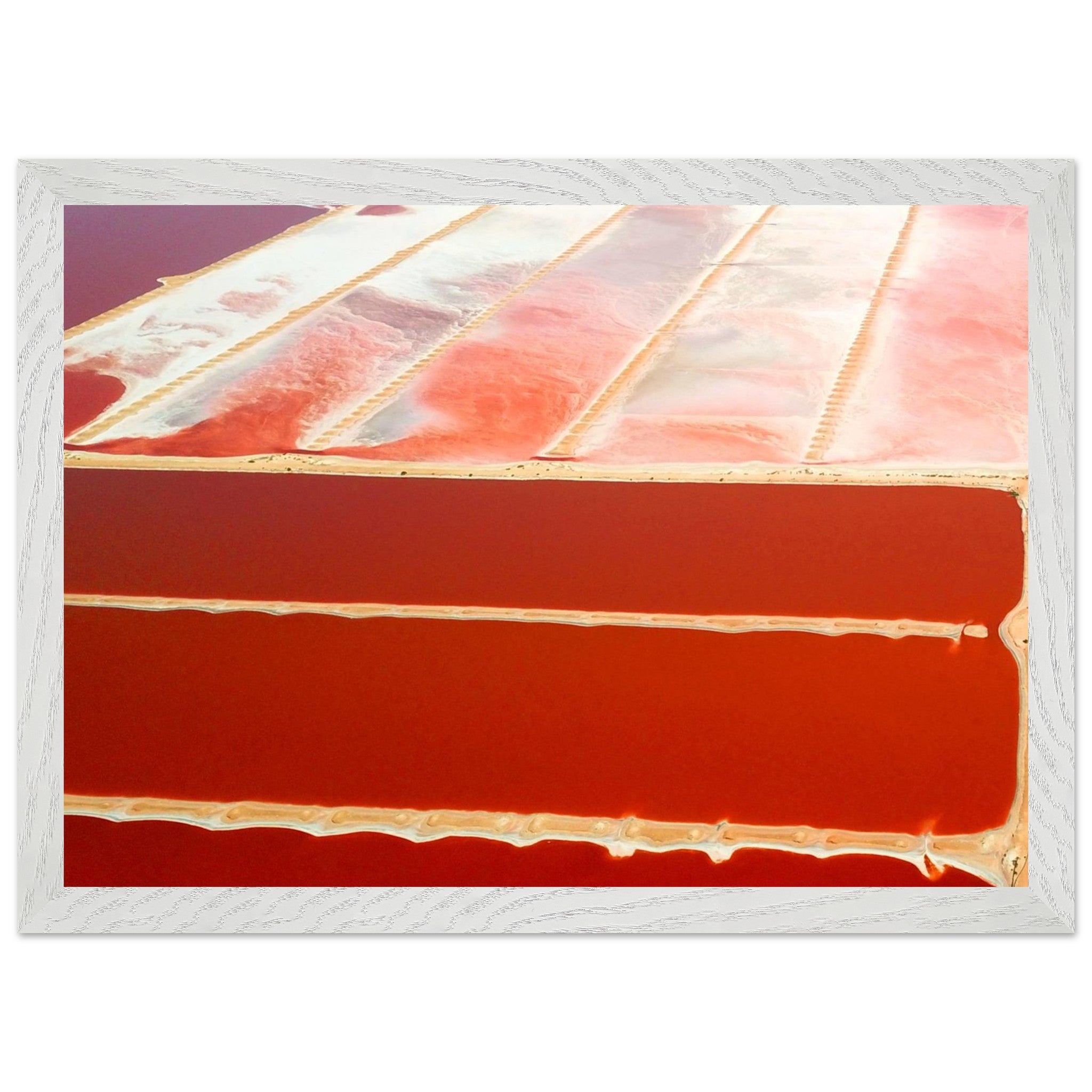 ab573995-2987-4e7b-bf11-48d684e50b54
