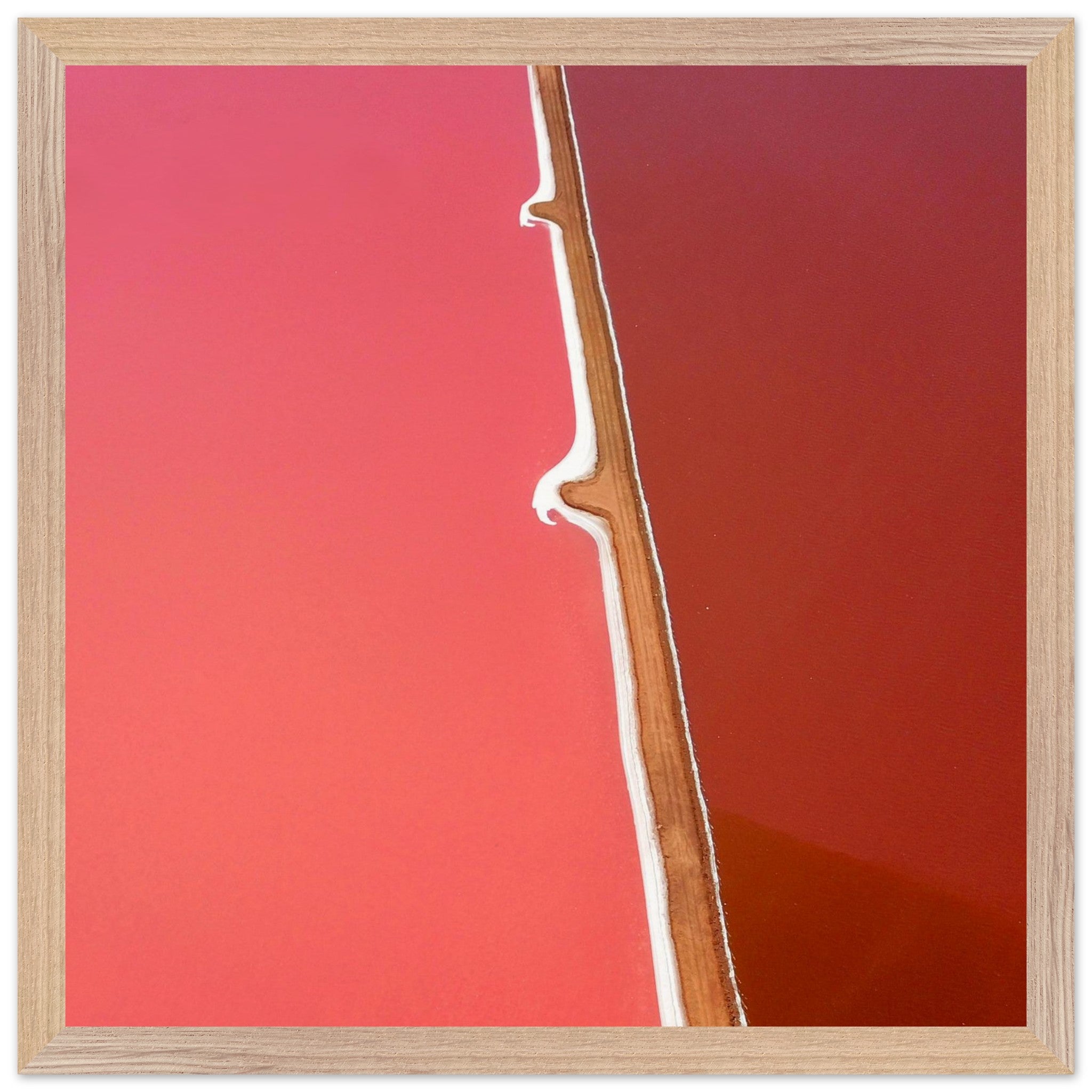 c76887ba-d004-4e0e-9ad4-fe887d1eb858