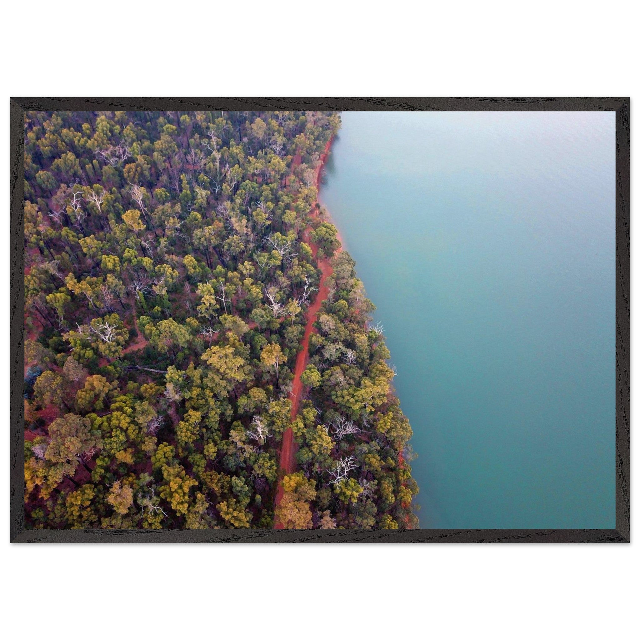 c9716334-cbee-442c-b689-ae81dcc52694