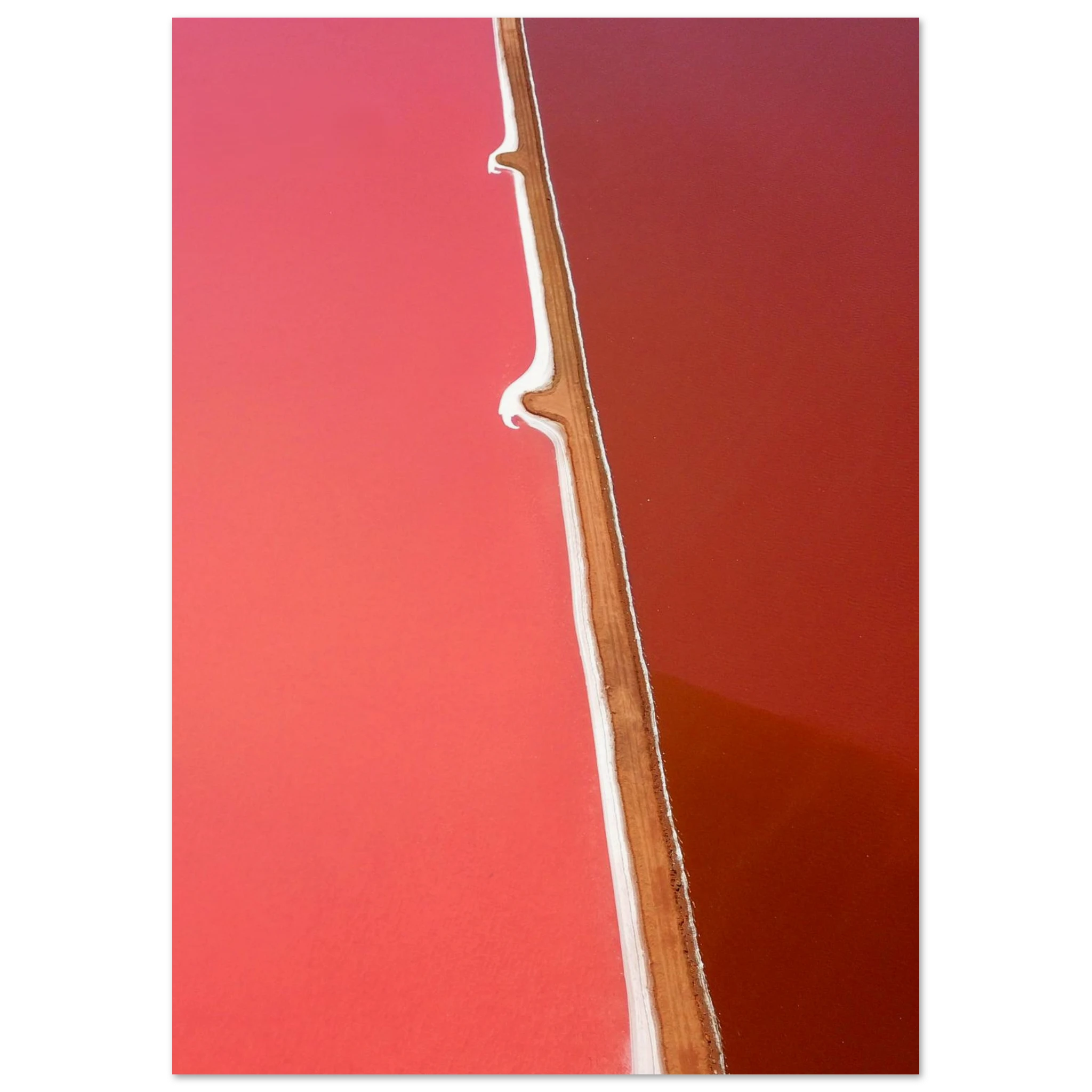 c9cd2204-bdb4-4ee8-904c-f79f364d931f