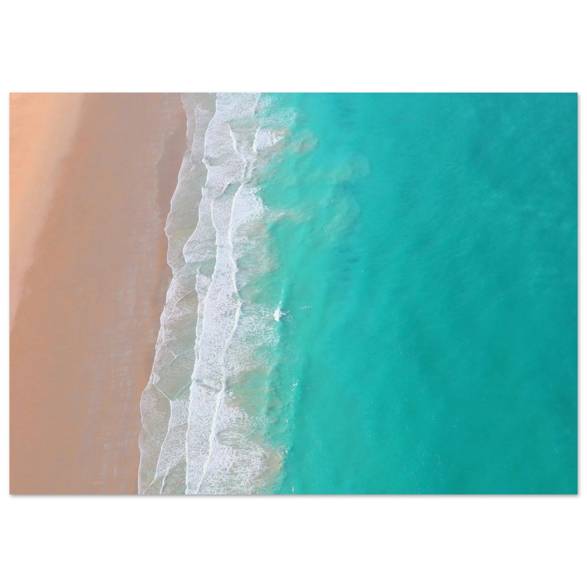 cc4eb5c3-8652-4eda-8de0-636516074c81