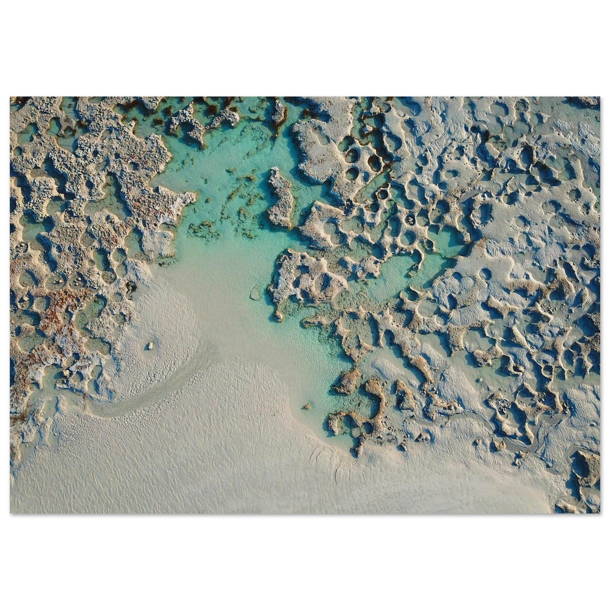 ce12e2d2-0a78-467e-926e-5fe0e05193e3