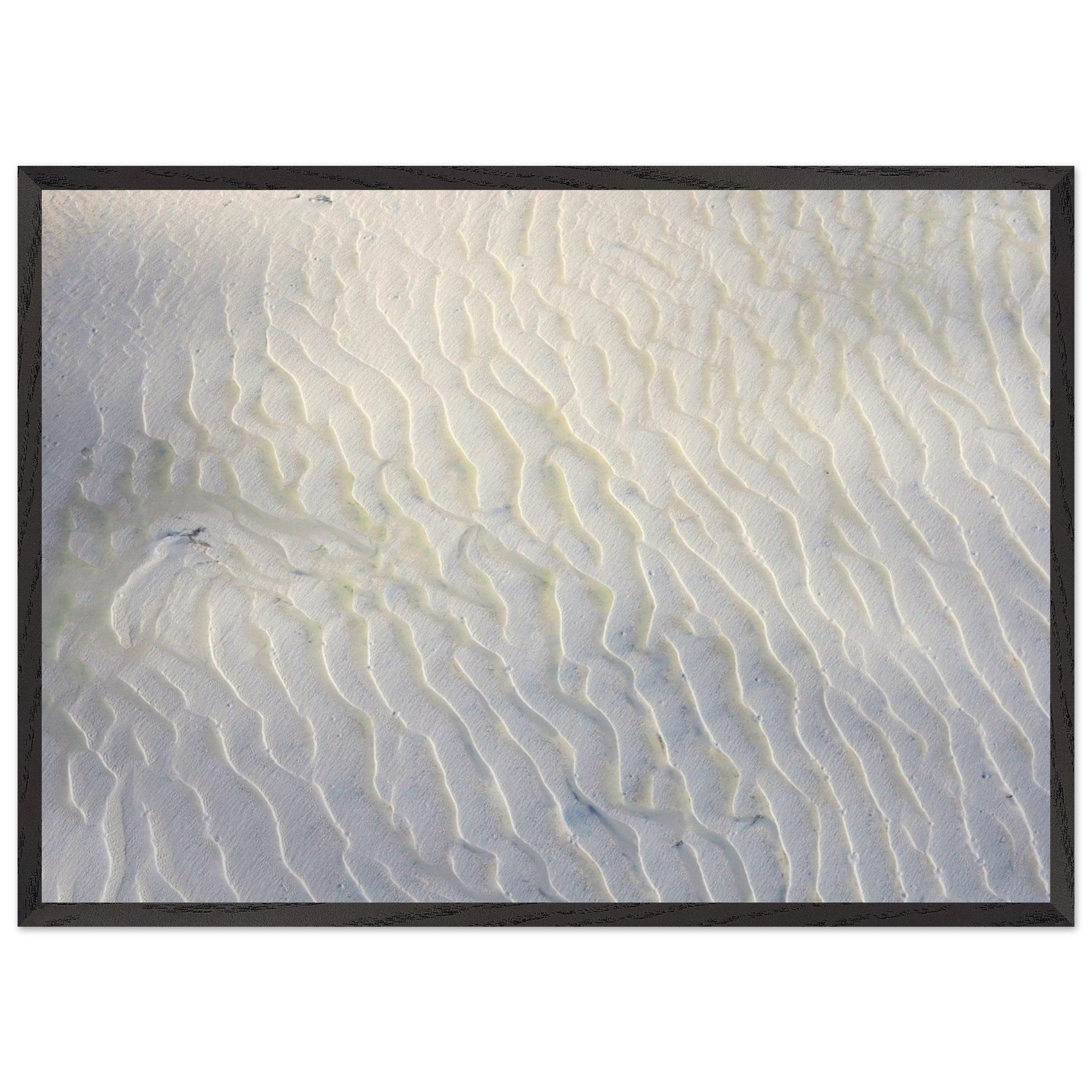 cff00f02-c6a5-4c85-a8d1-82e3c26d5c47