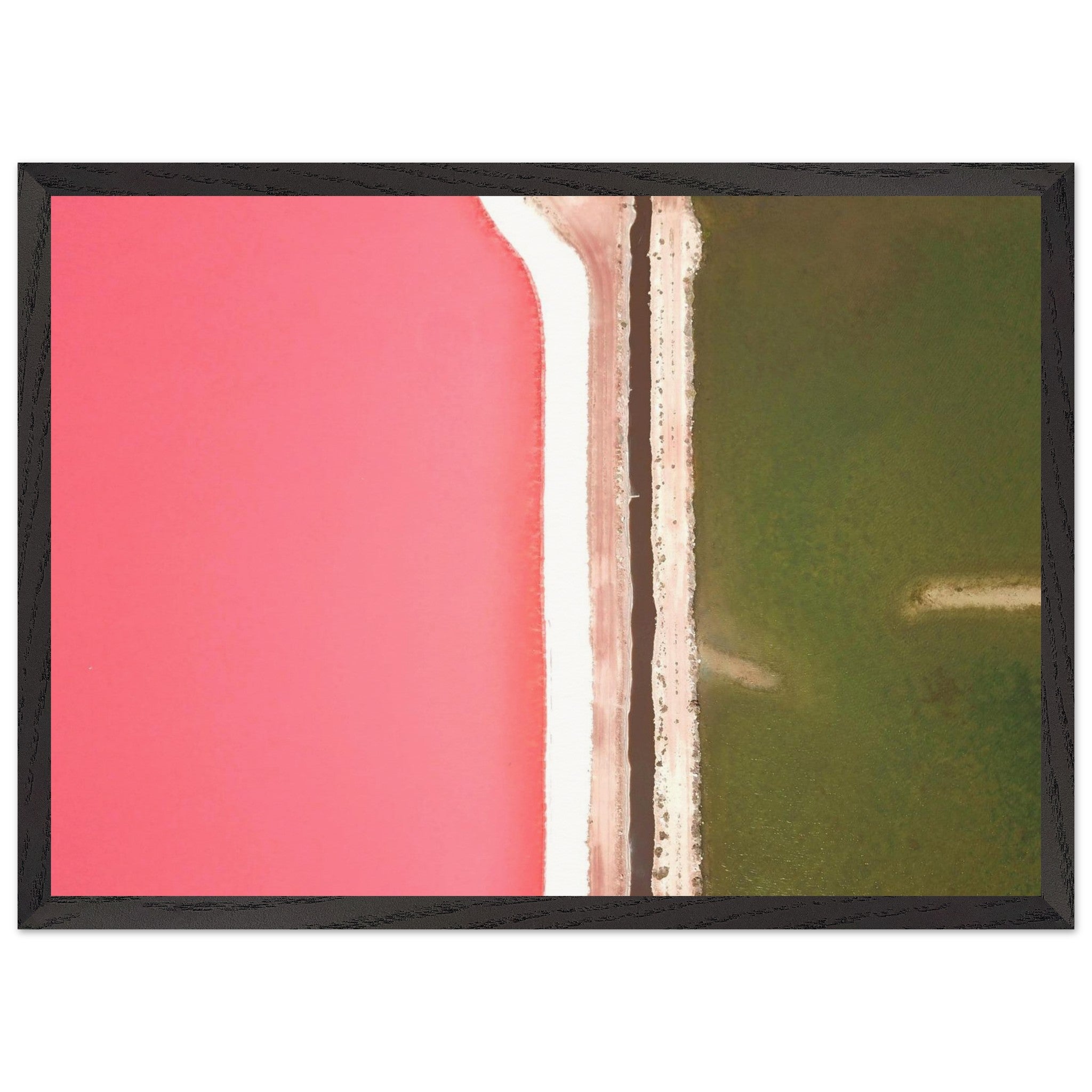 d6520f5c-81c8-43cb-be62-9da16772d01c