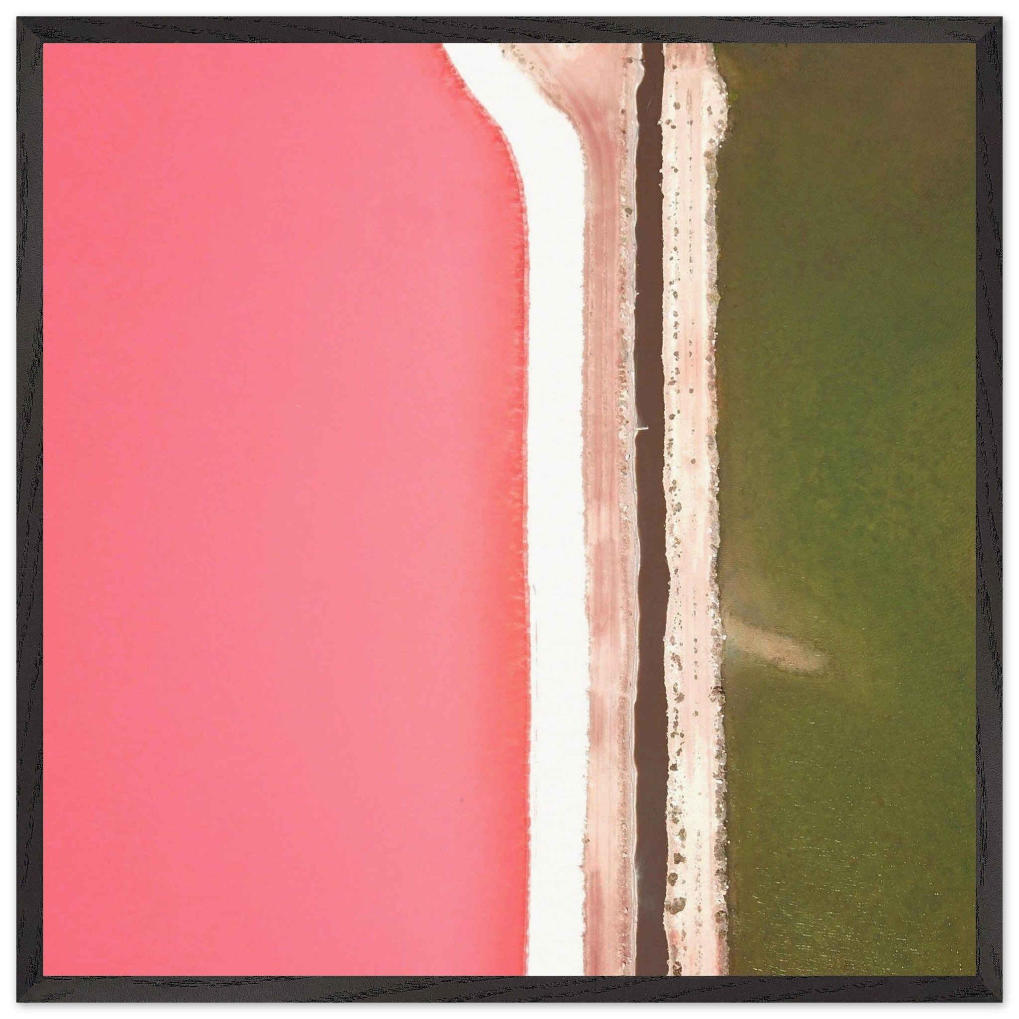 dcc74ae5-779f-480c-8a2c-dd544a1a04ea