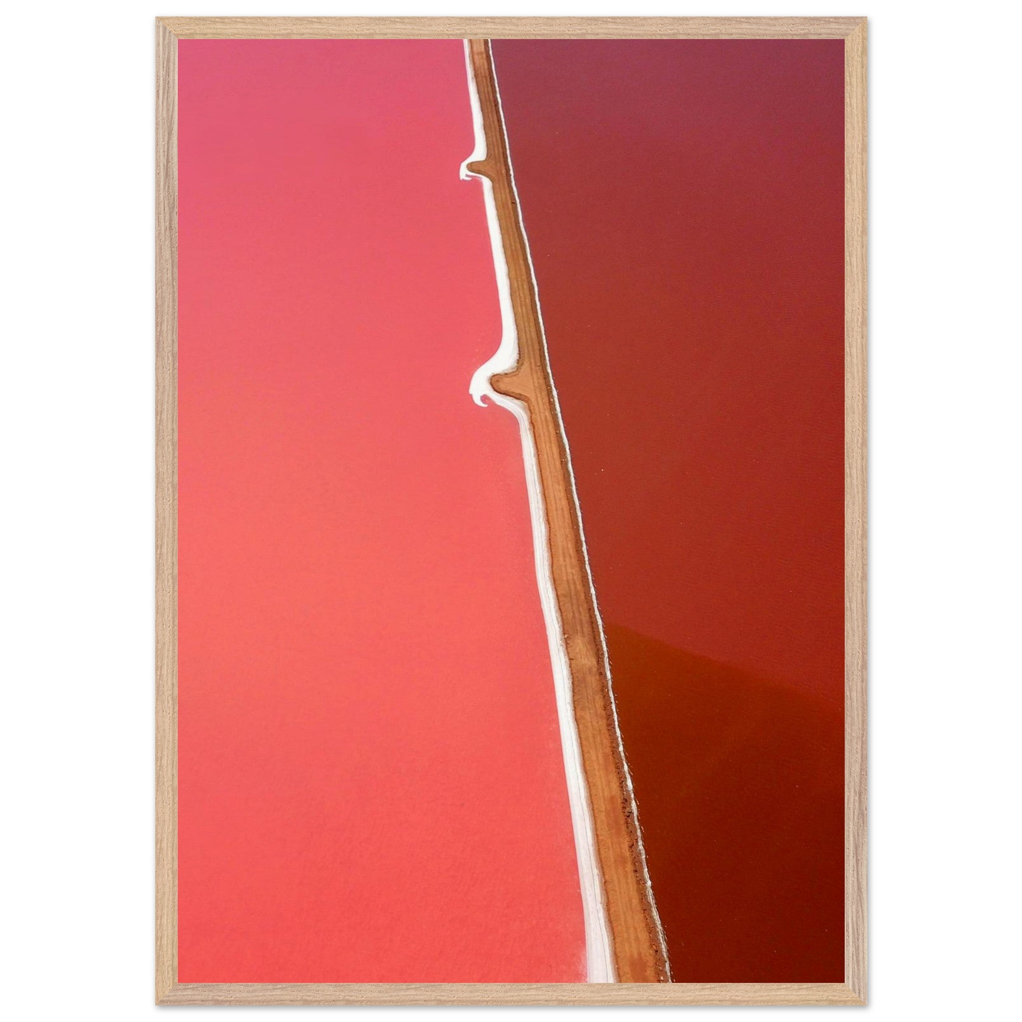 e4ec9c8b-38c2-4d0f-a575-bc7b27d54409