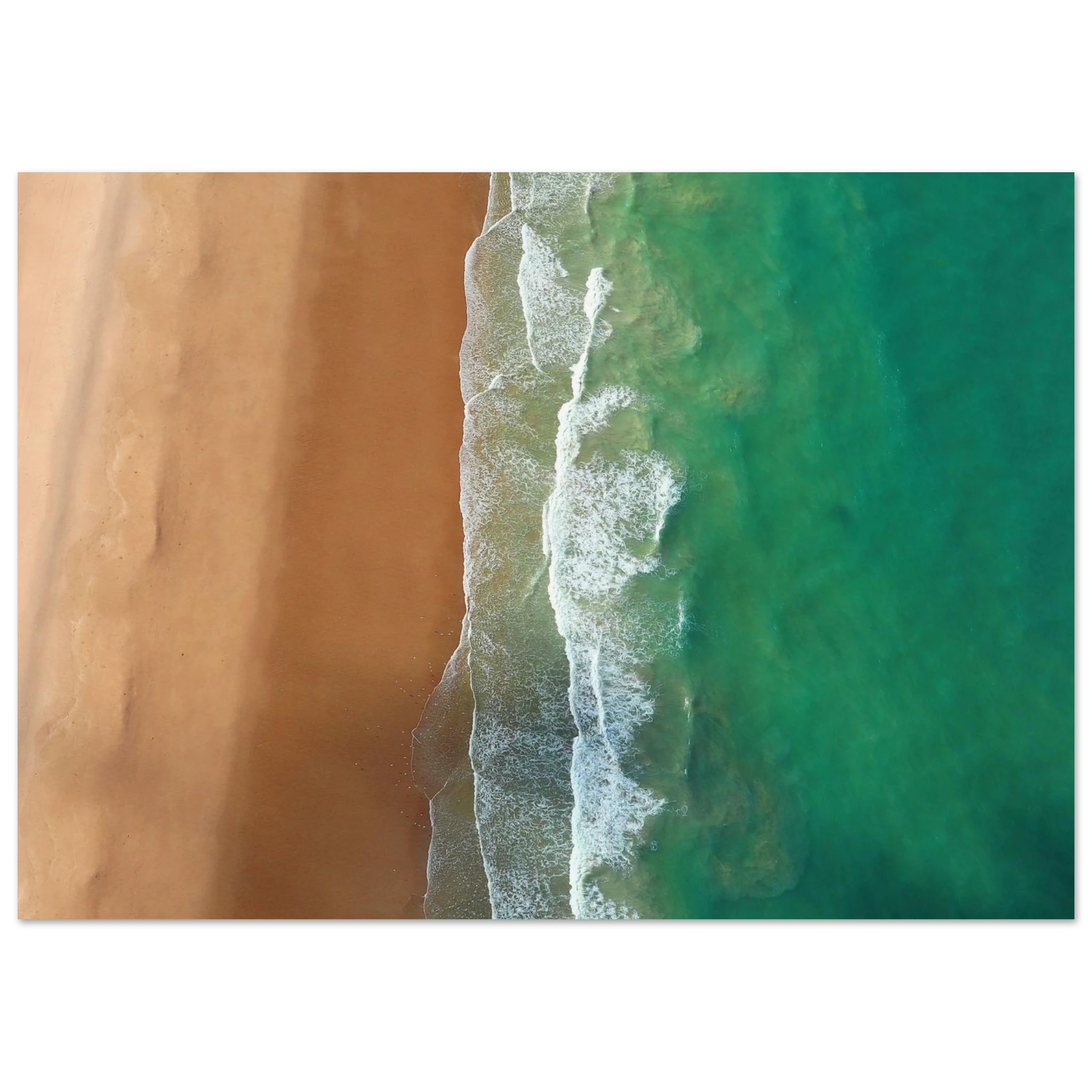 e51205e8-da90-4b78-ade1-4ca589430858