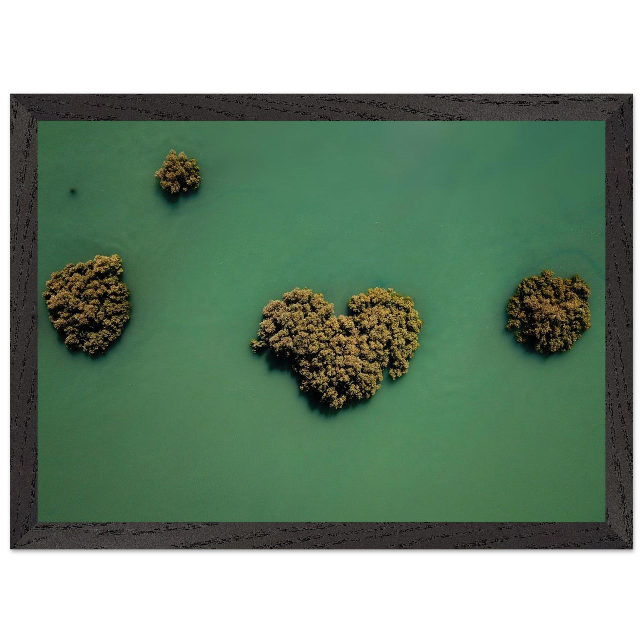 e55f1d21-b58e-4a4e-a7e8-f5f817cfcc8c