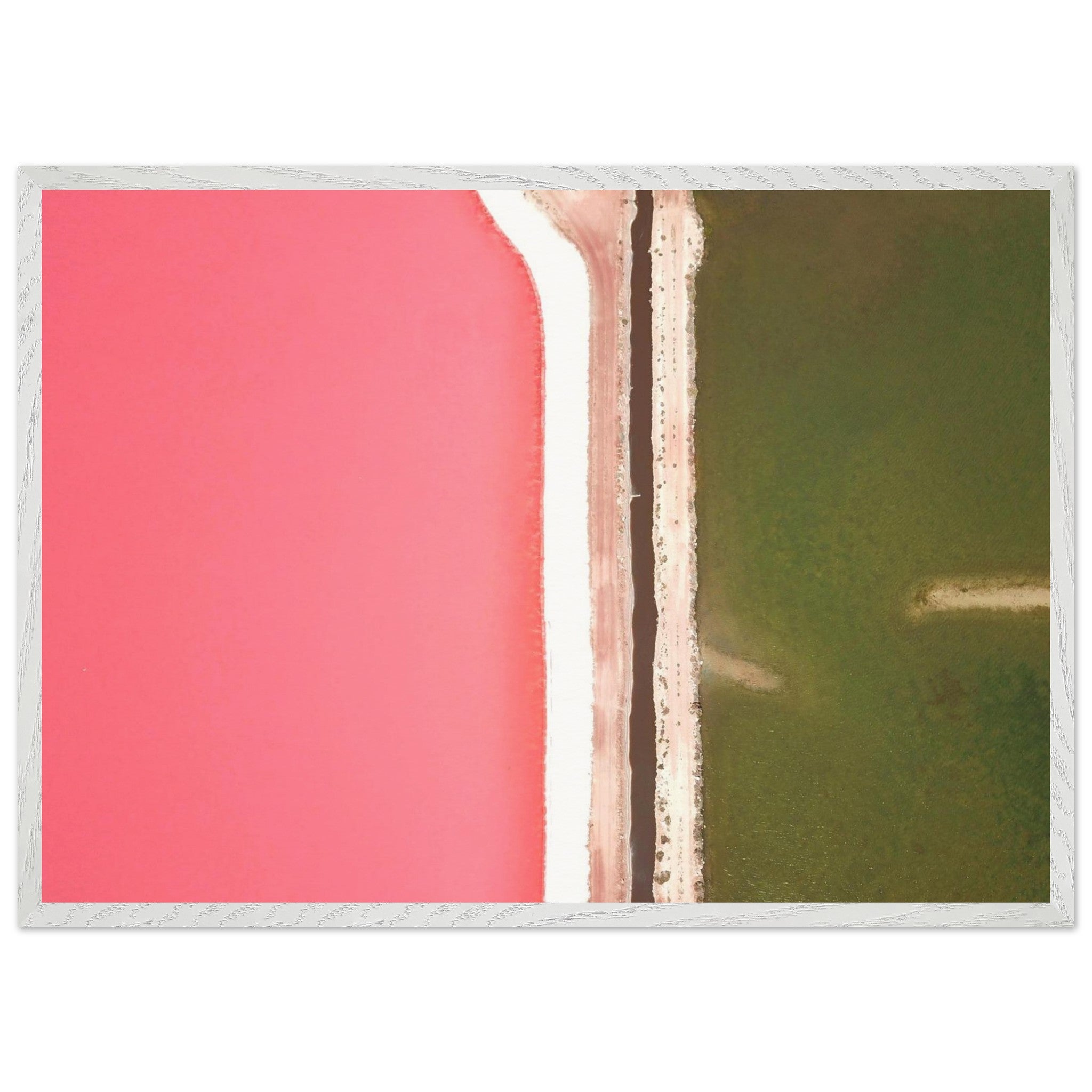 e8bb874d-f23a-41a0-ac9d-f09c775adc19