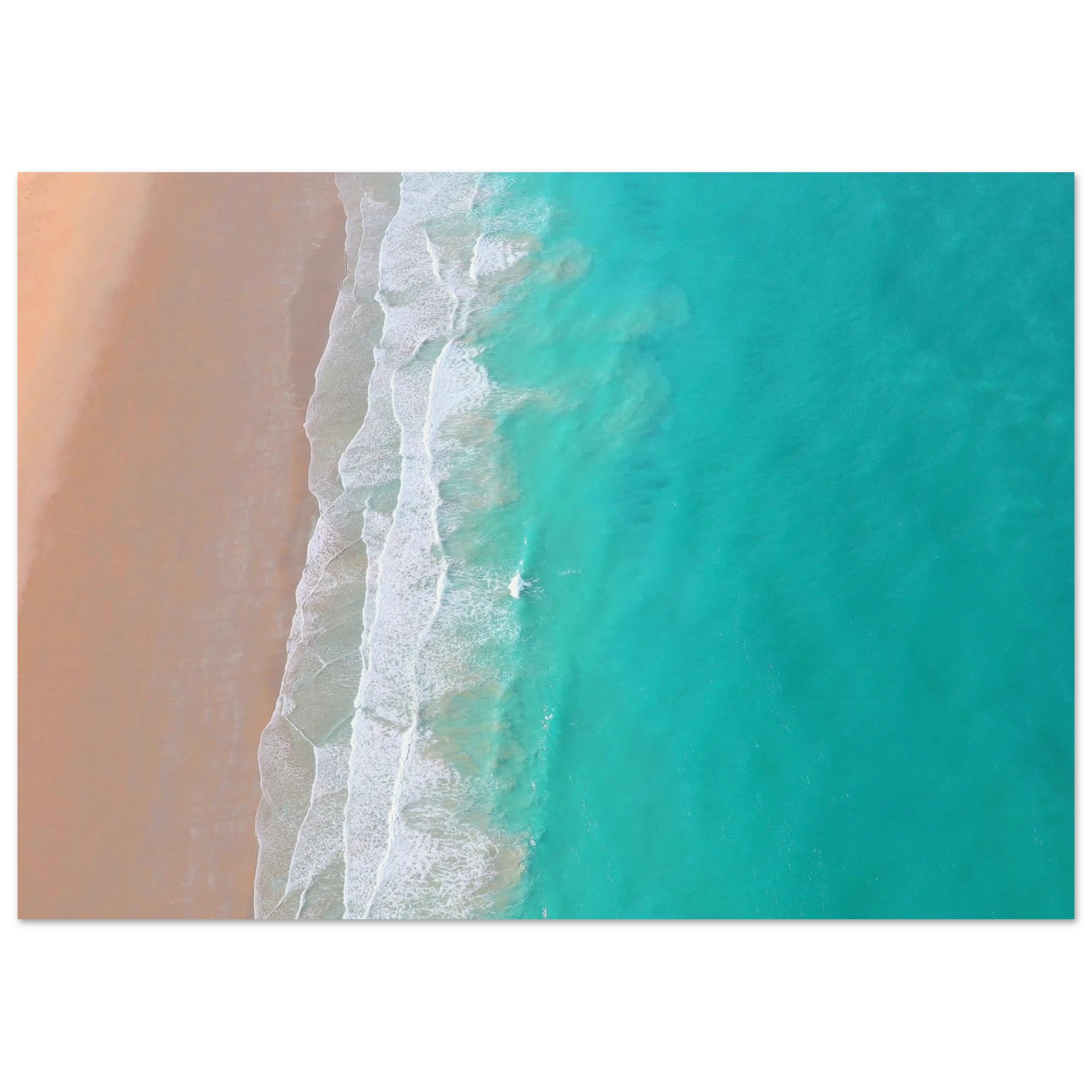 f1895991-ad5d-43c0-ab3f-0e6d0abd2349