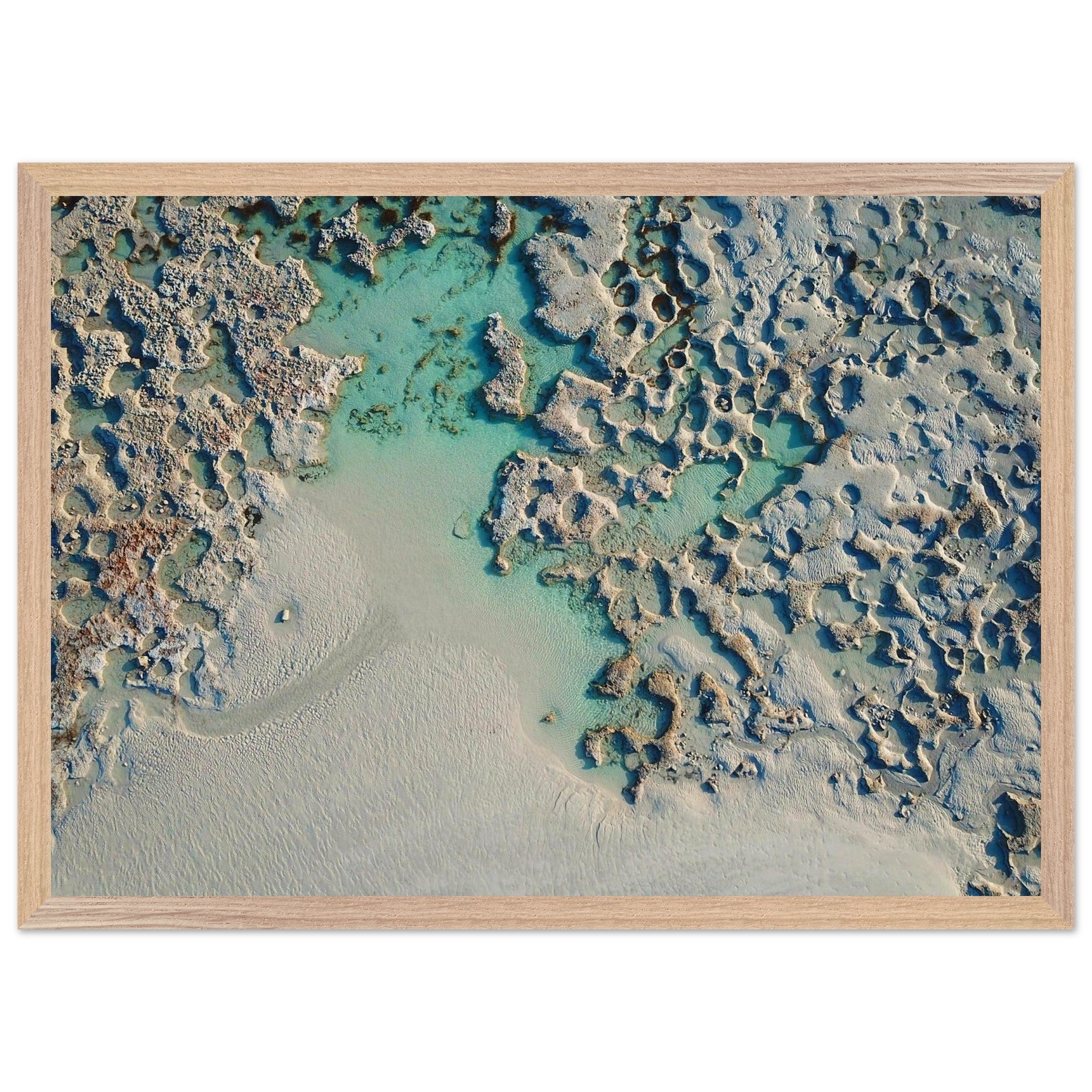 f7bb8172-351a-4fd6-bd39-ef3fe81b38b8